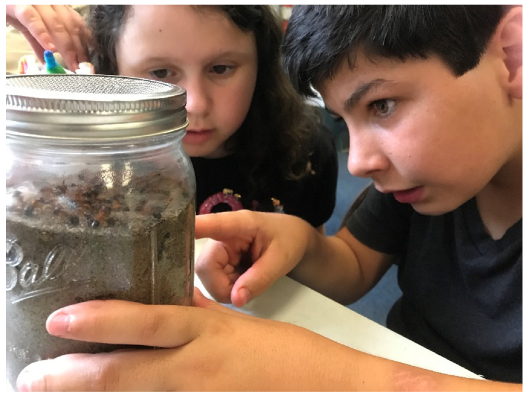 Insects 14 00118 g003