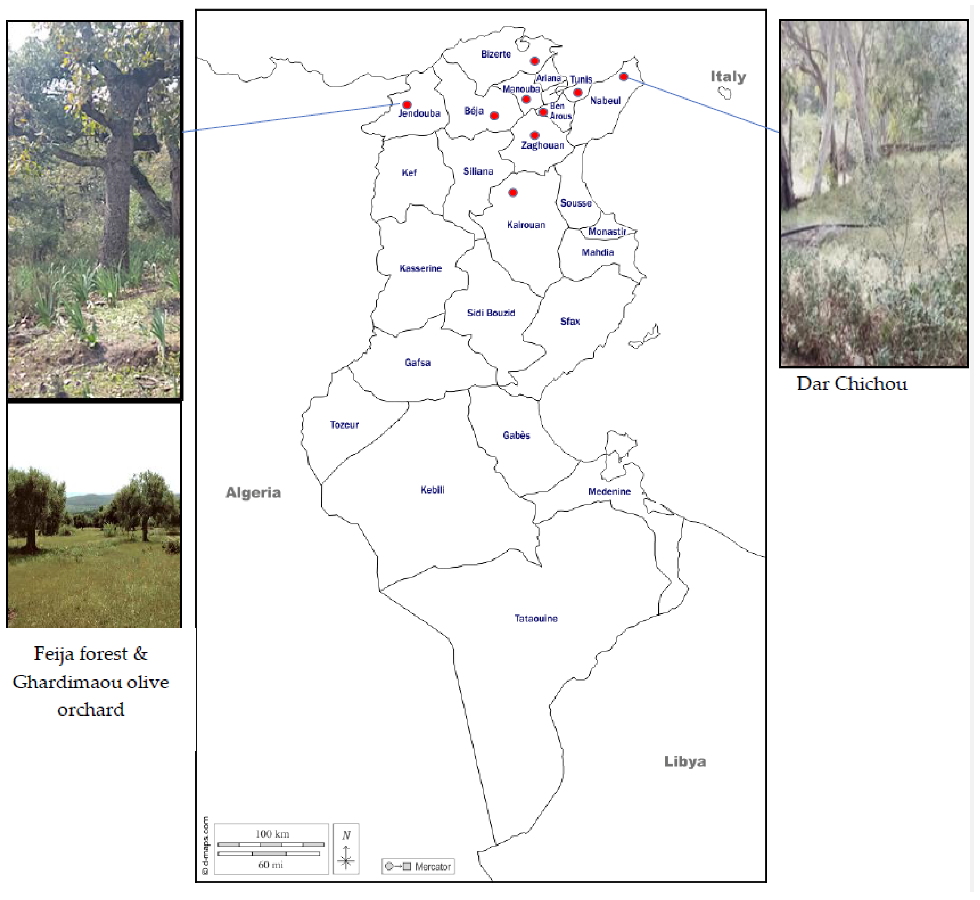 Insects 14 00119 g001 Insects 14 00119 g001
