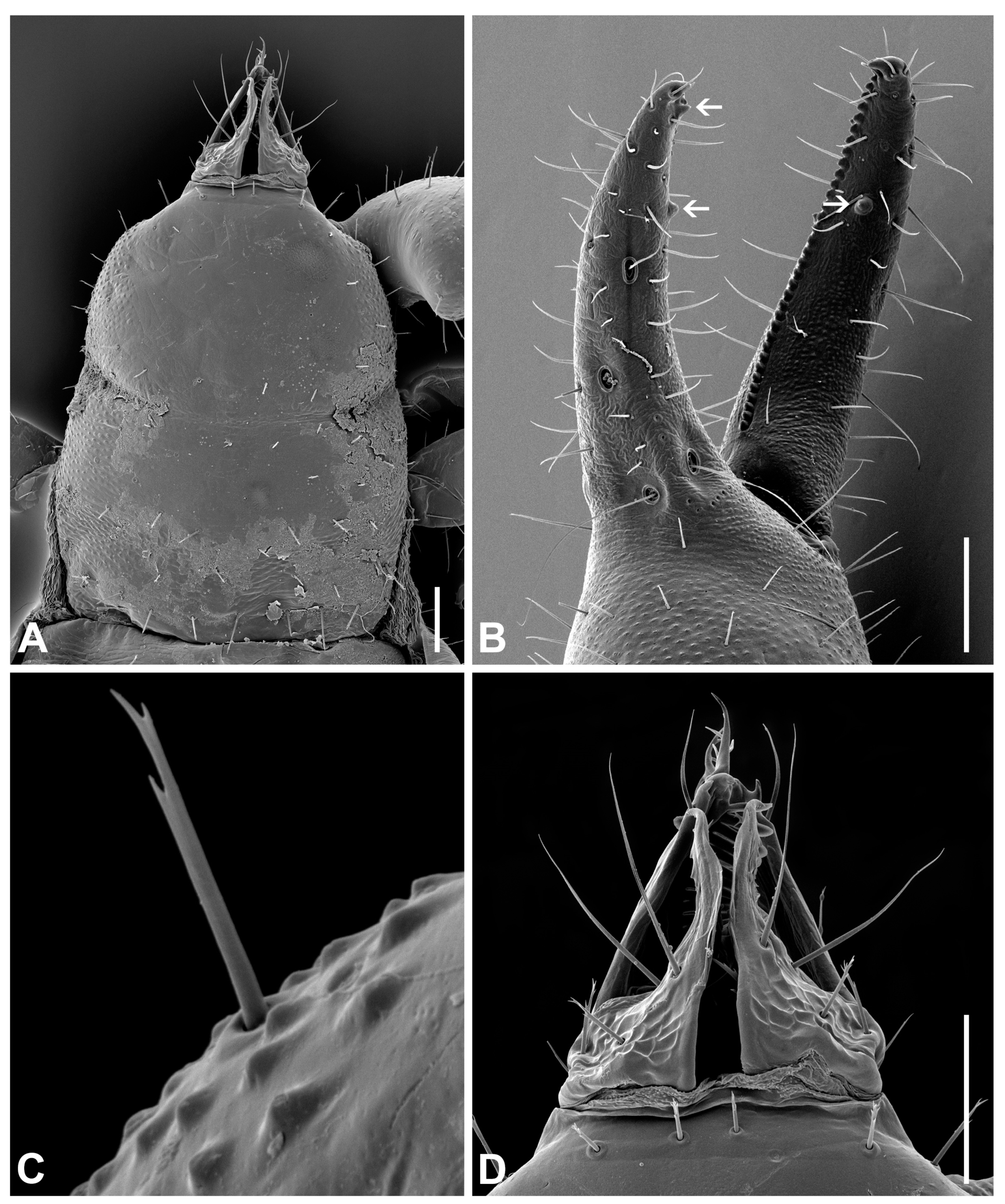 Insects 14 00122 g006 Insects 14 00122 g006
