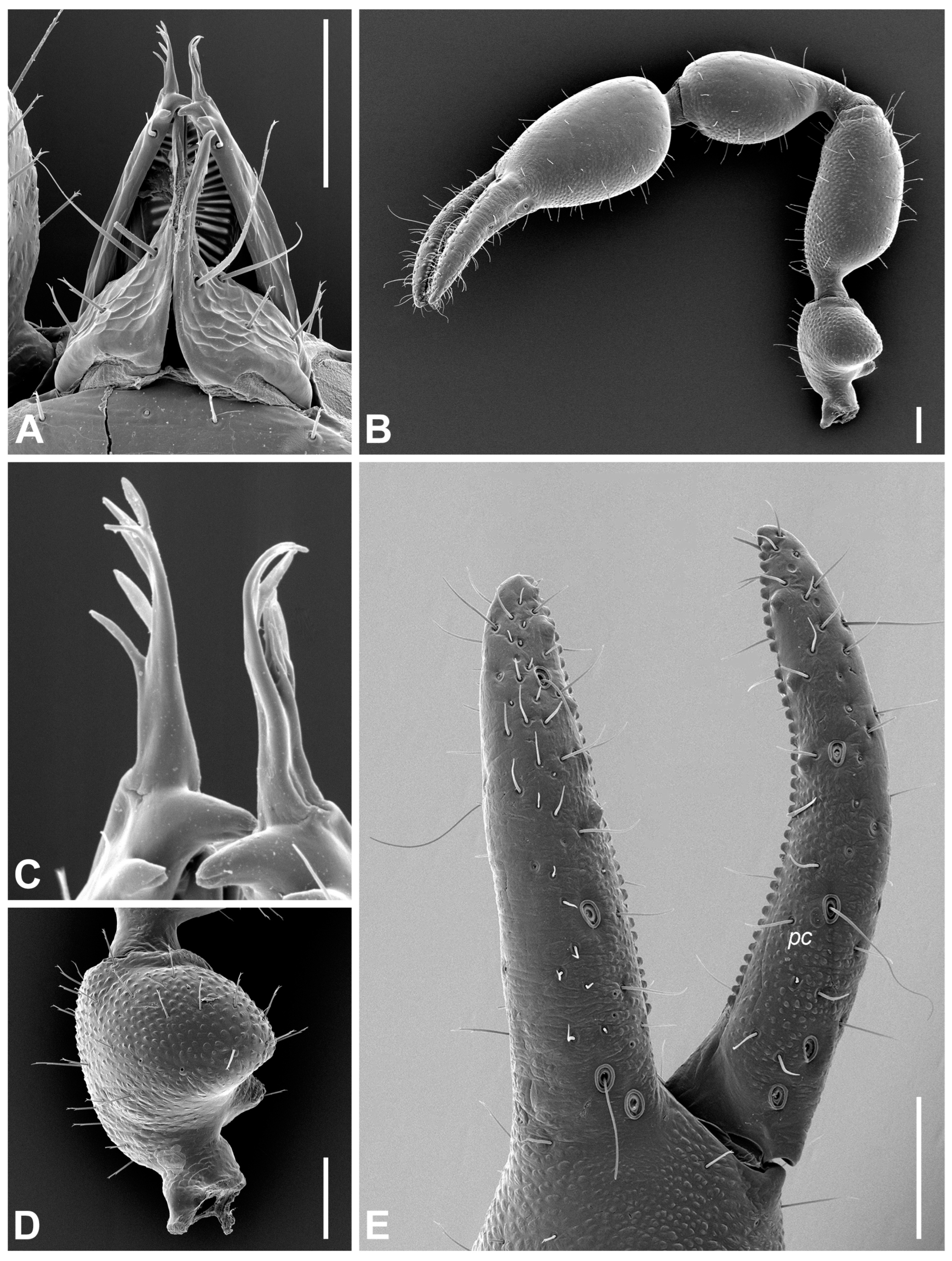 Insects 14 00122 g008 Insects 14 00122 g008