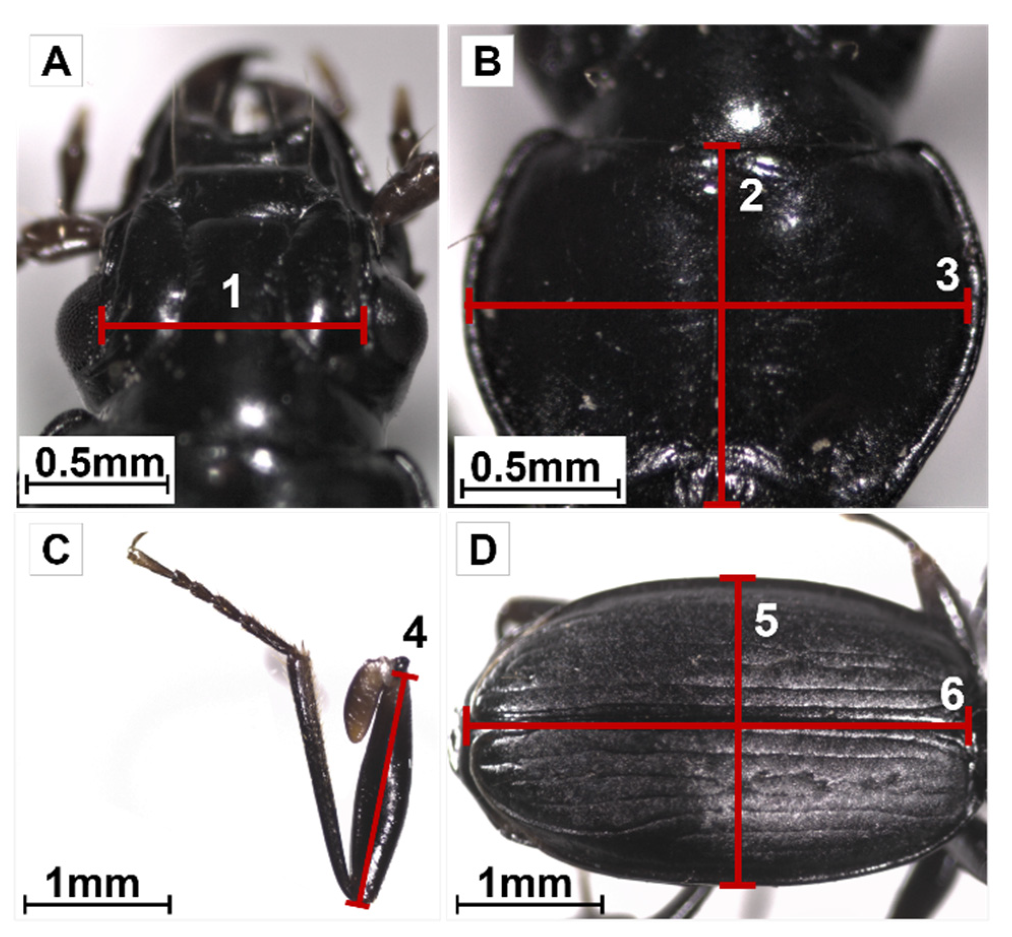 Insects 14 00123 g002 Insects 14 00123 g002