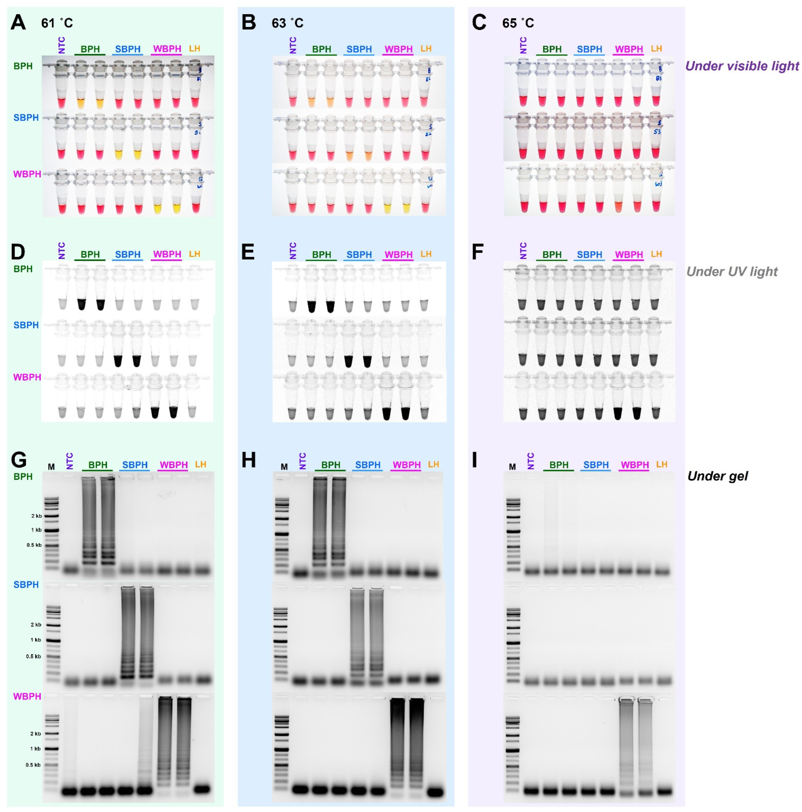 Insects 14 00124 g003