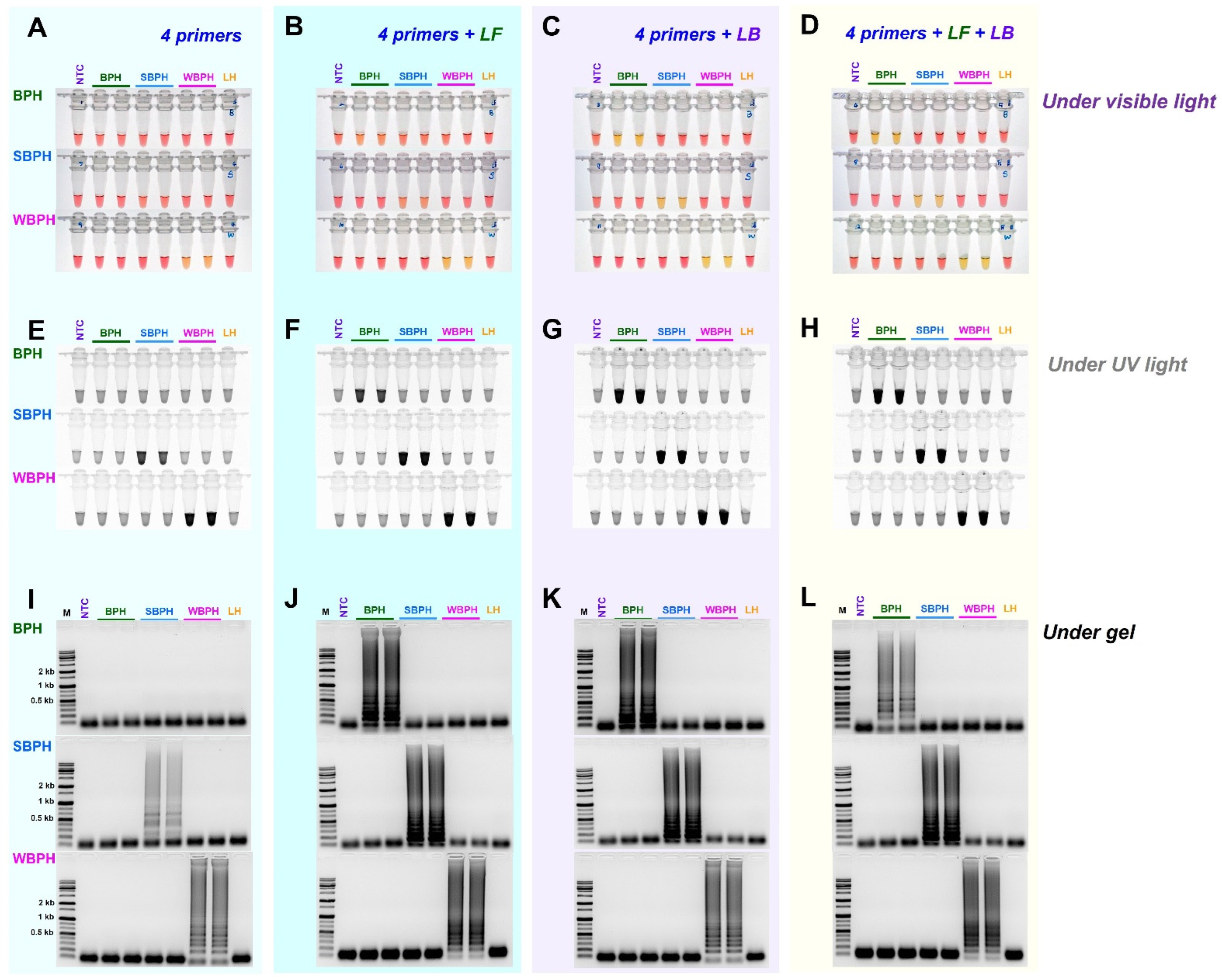 Insects 14 00124 g004