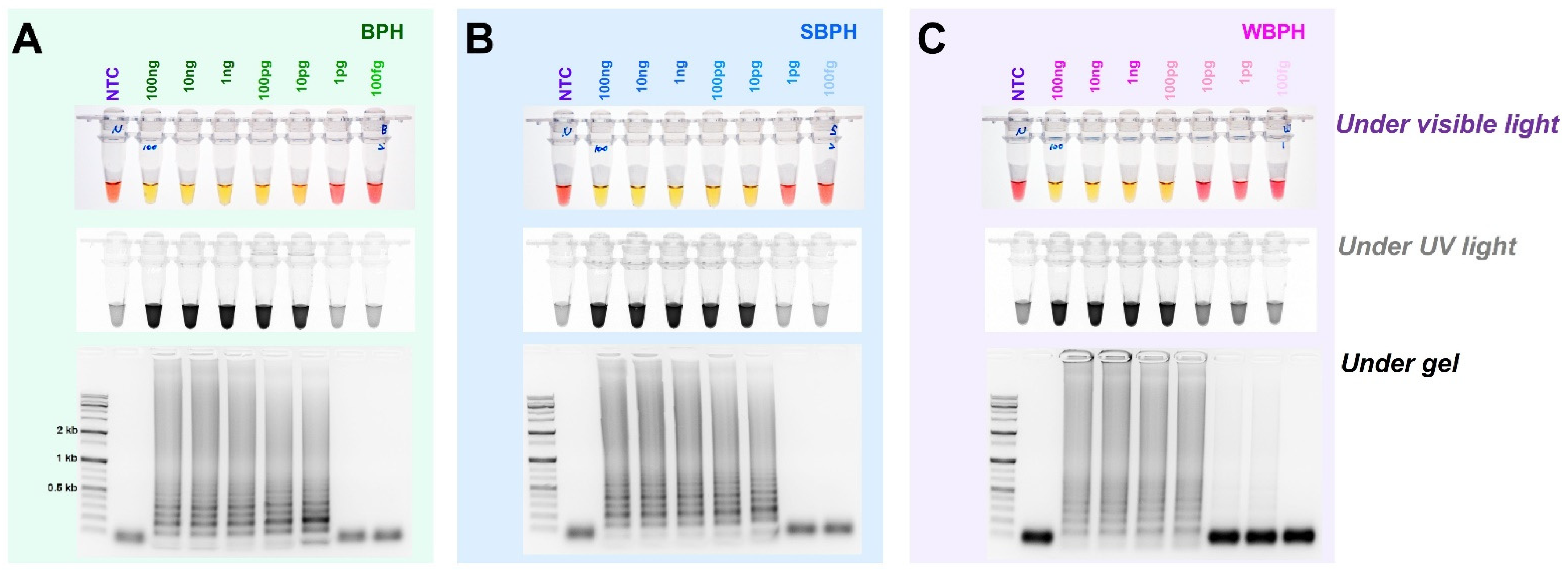 Insects 14 00124 g005