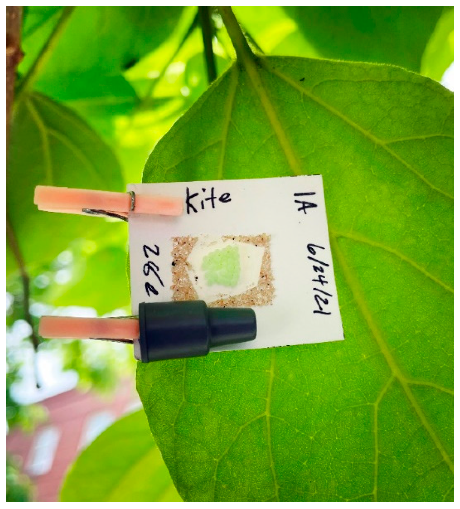 Insects 14 00125 g001 Insects 14 00125 g001