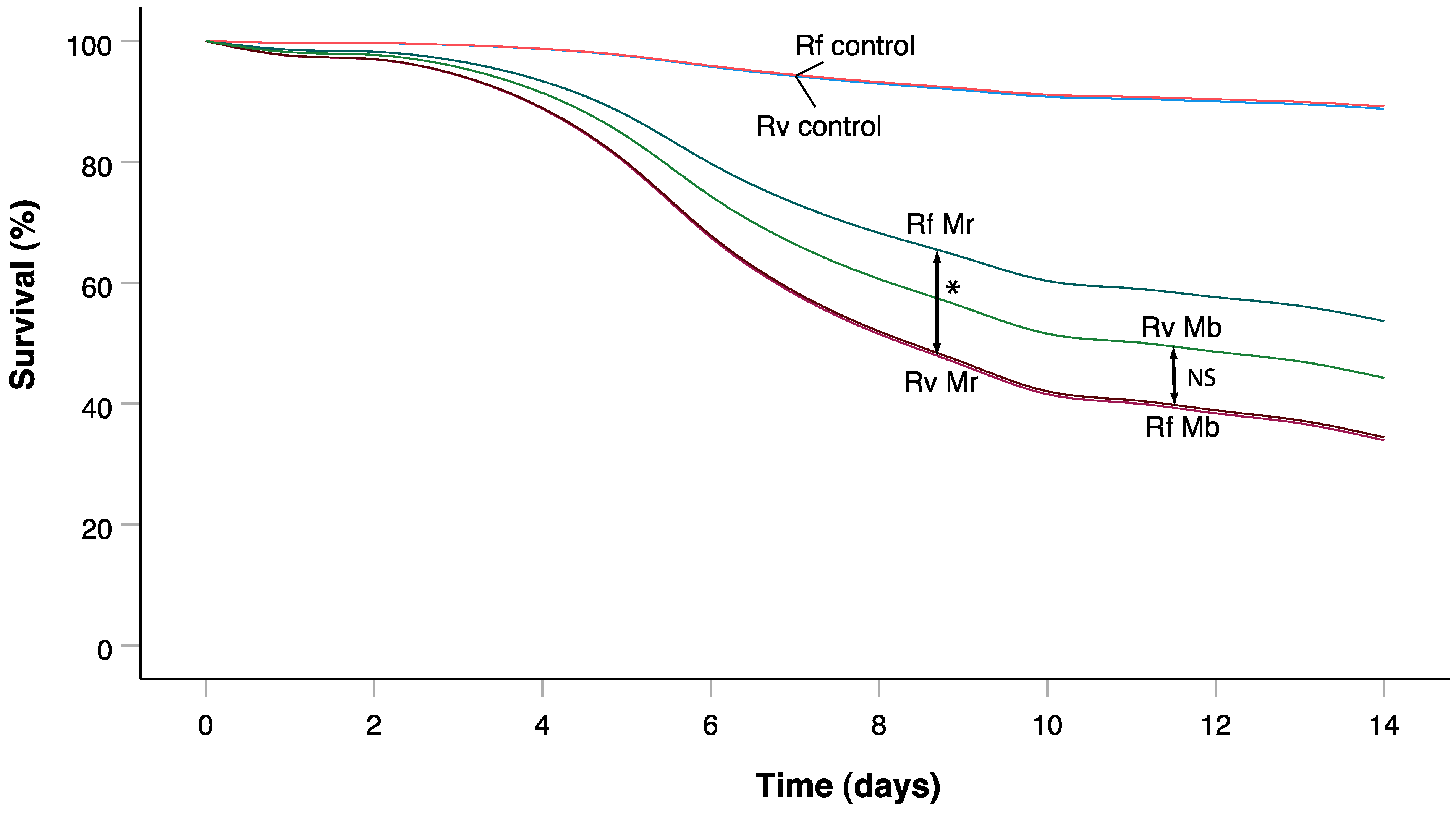 Insects 14 00128 g001