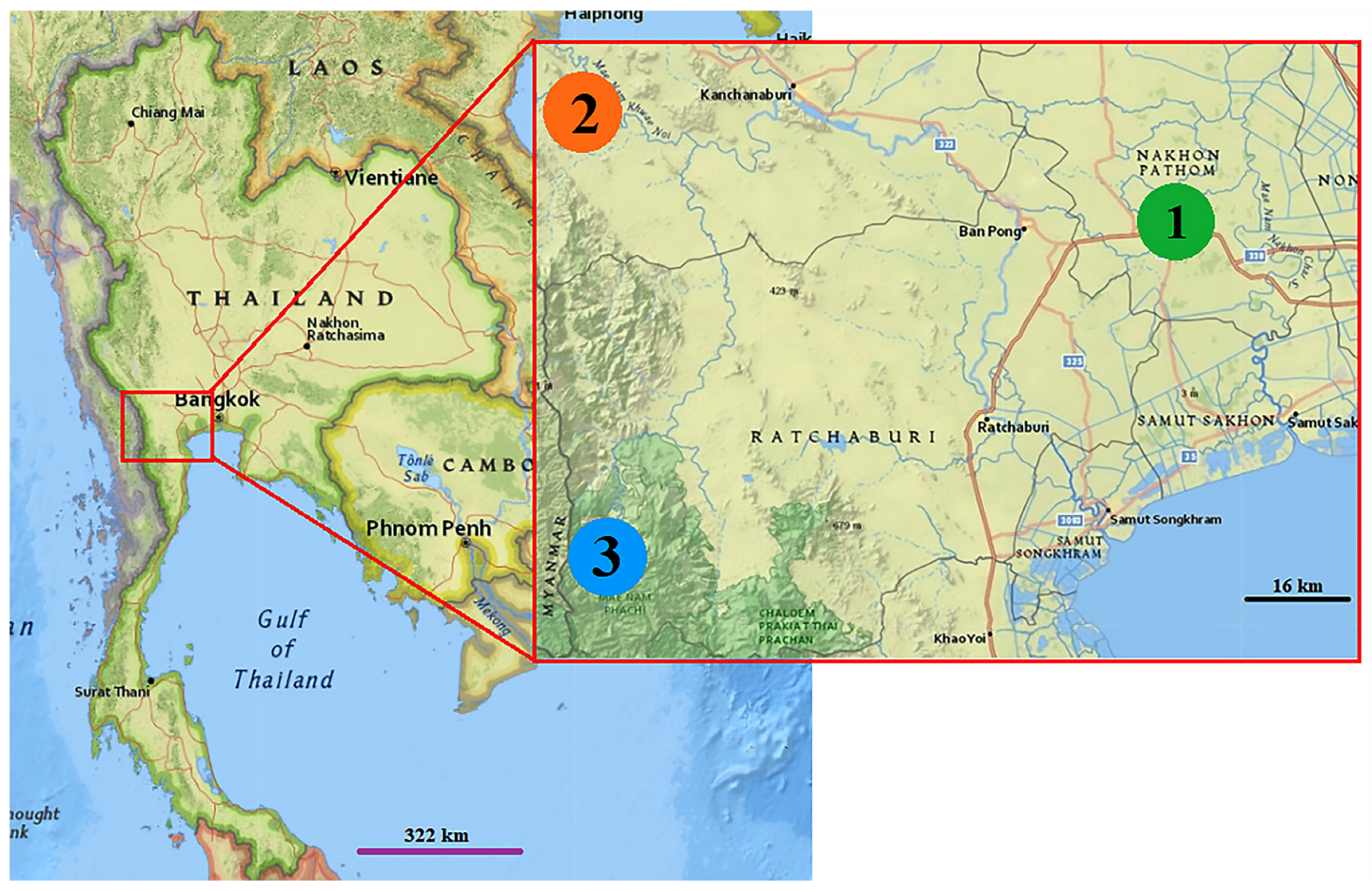 Insects 14 00131 g001