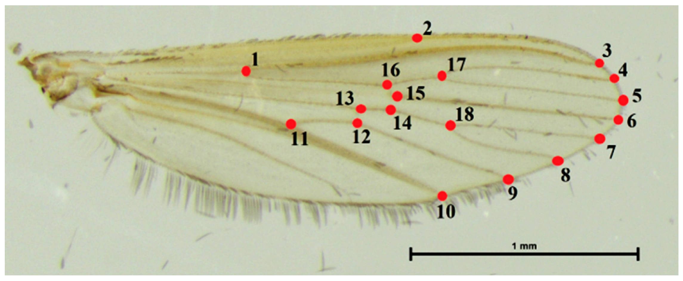 Insects 14 00131 g002