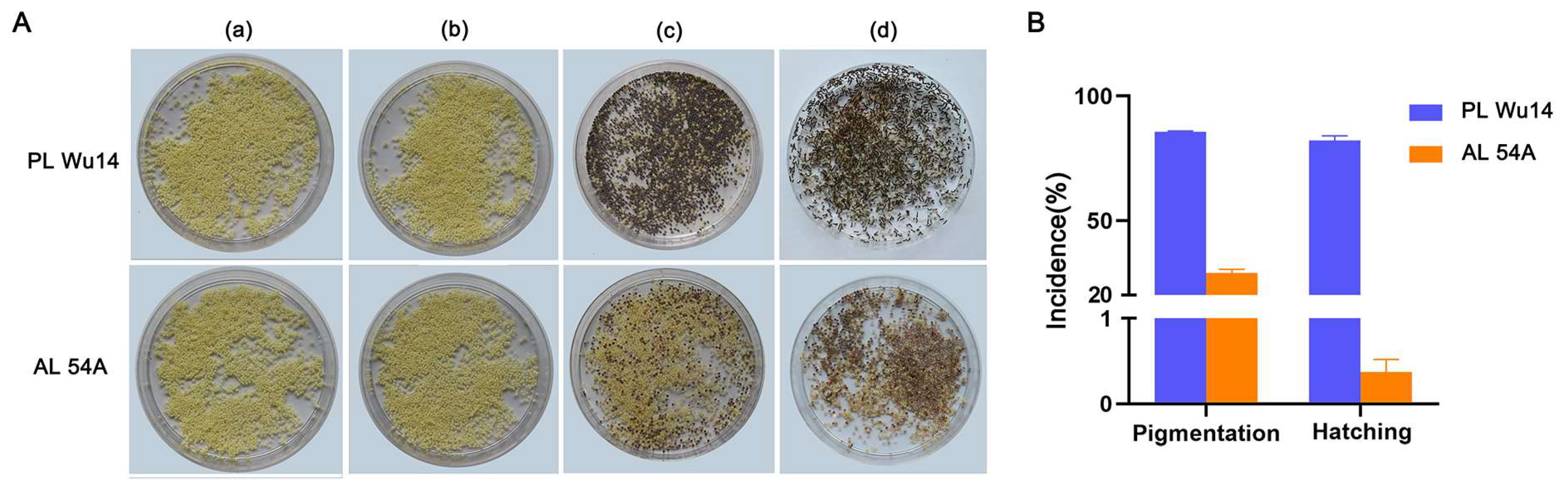 Insects 14 00134 g002