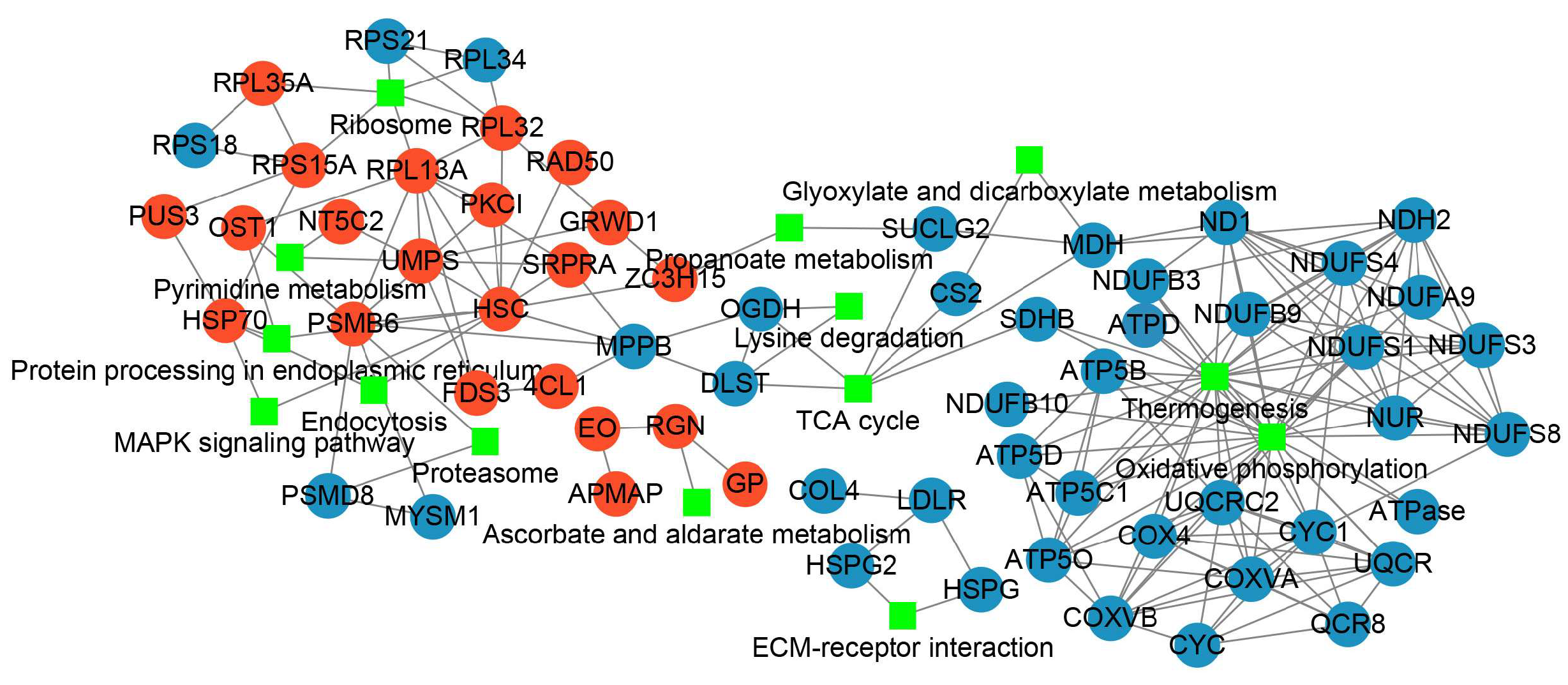 Insects 14 00134 g006