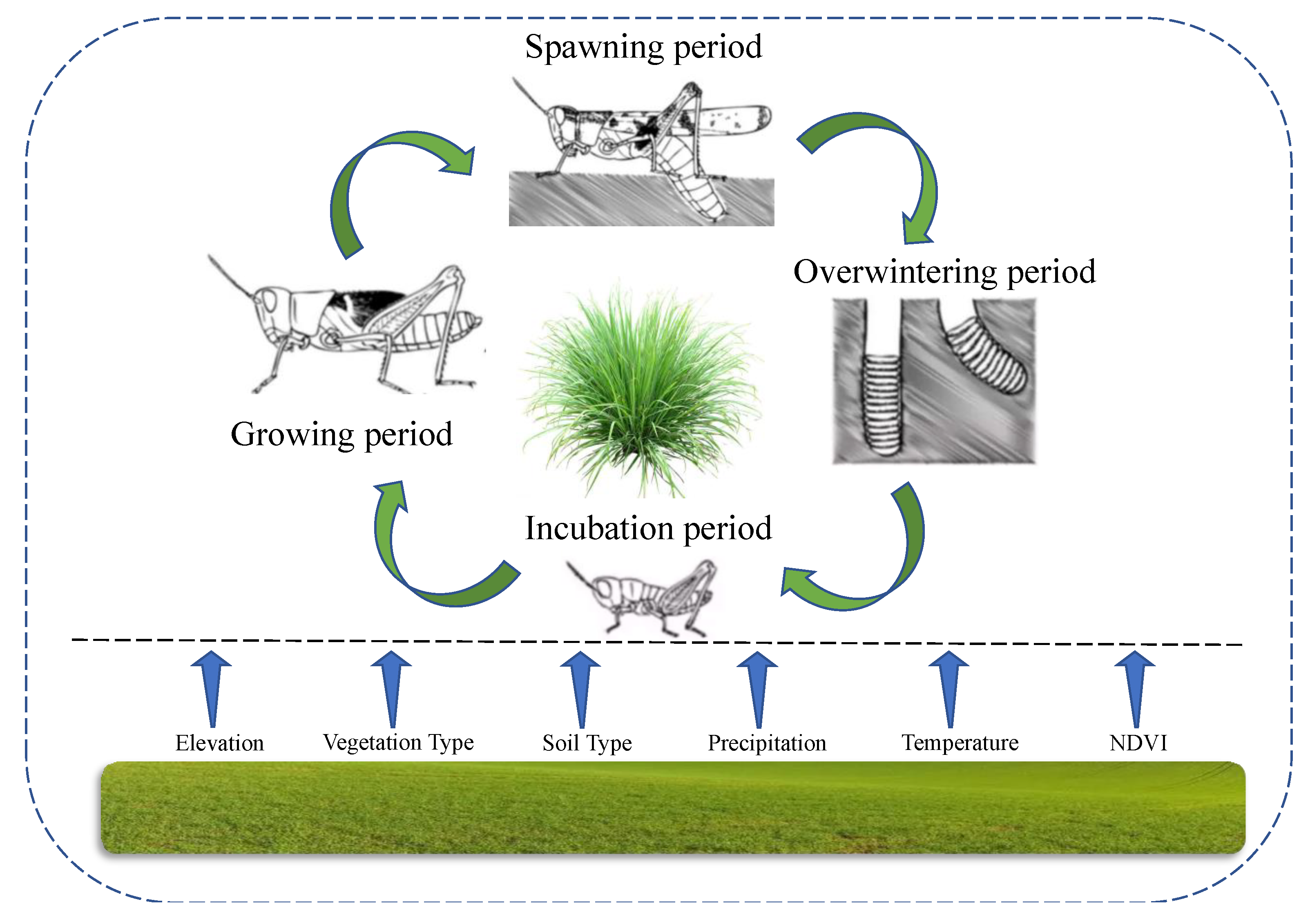 Insects 14 00138 g001