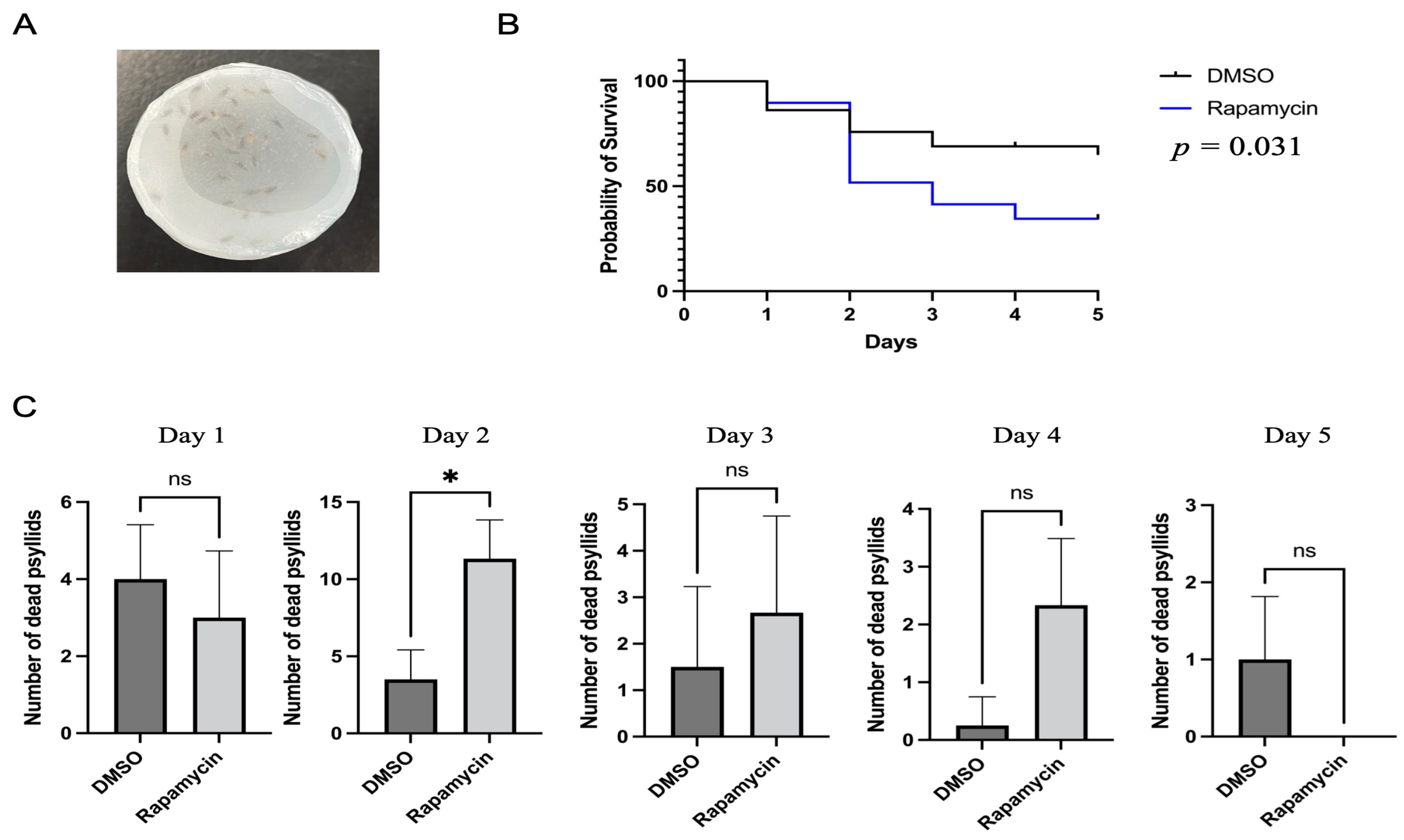 Insects 14 00142 g001
