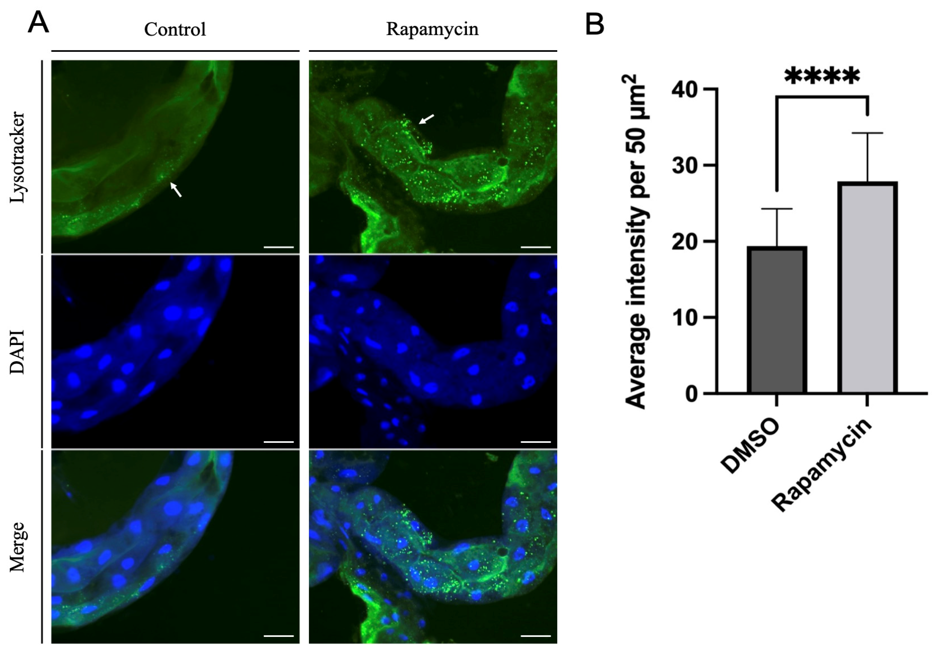 Insects 14 00142 g003