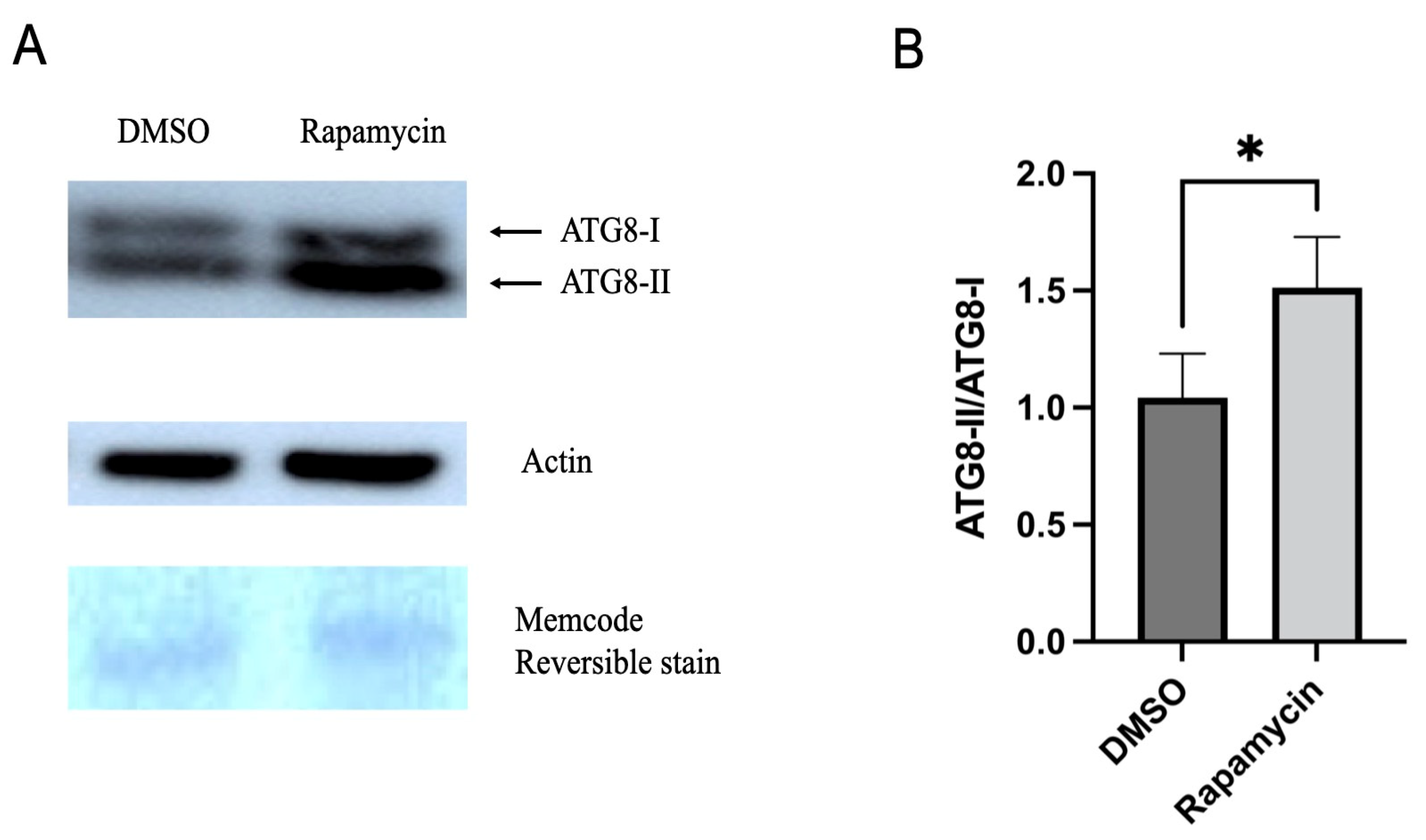 Insects 14 00142 g004