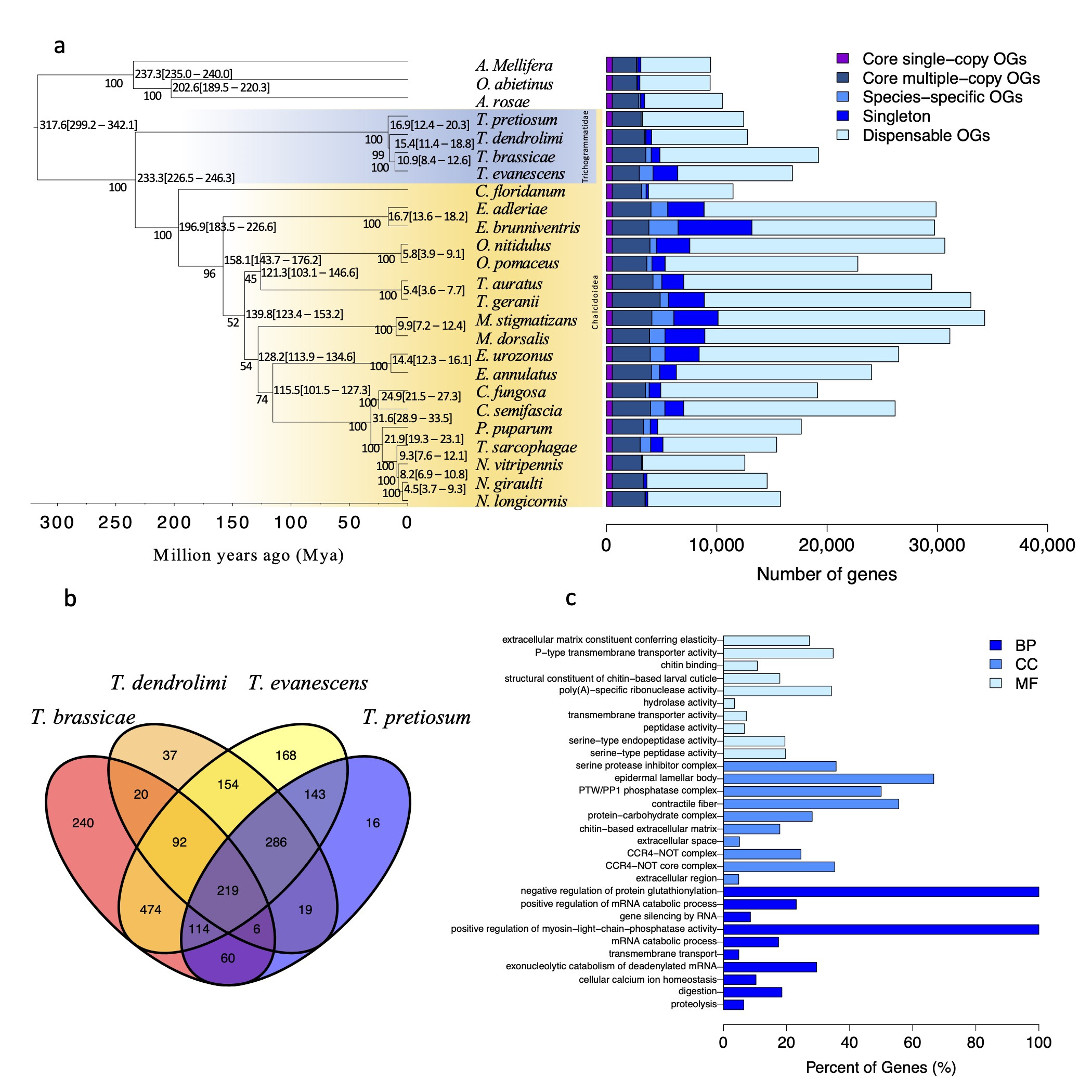 Insects 14 00144 g001