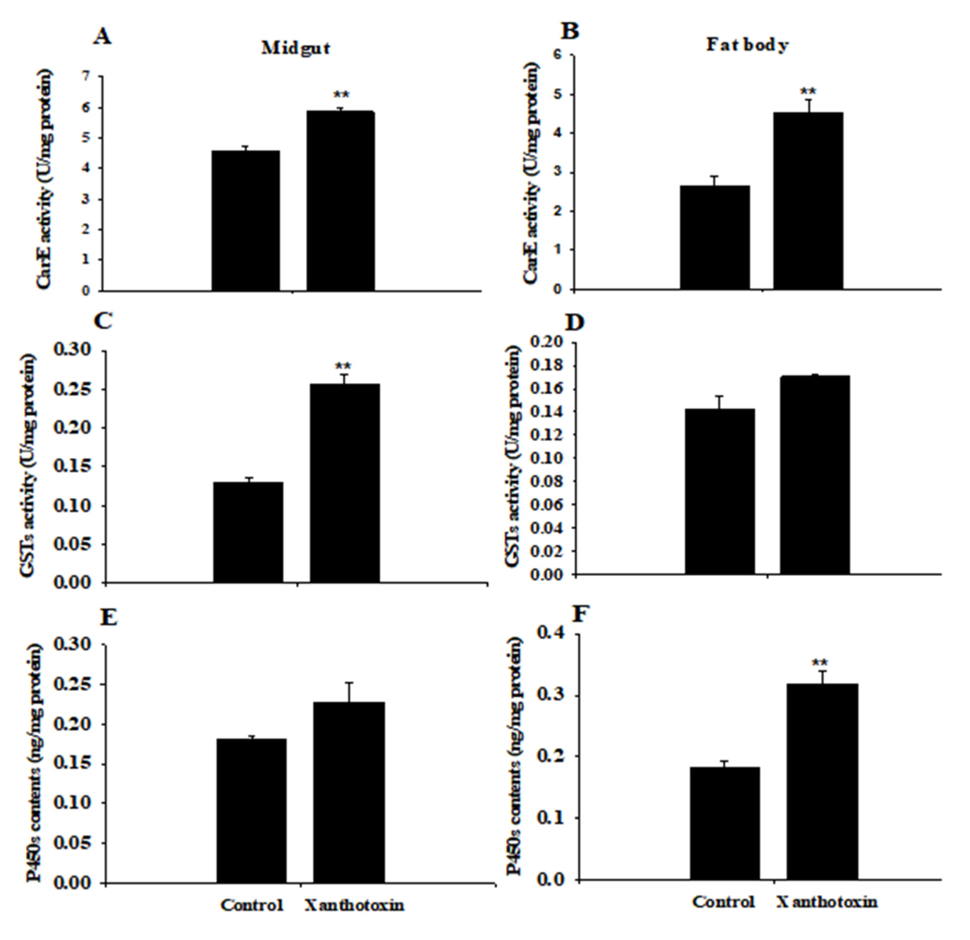 Insects 14 00145 g001