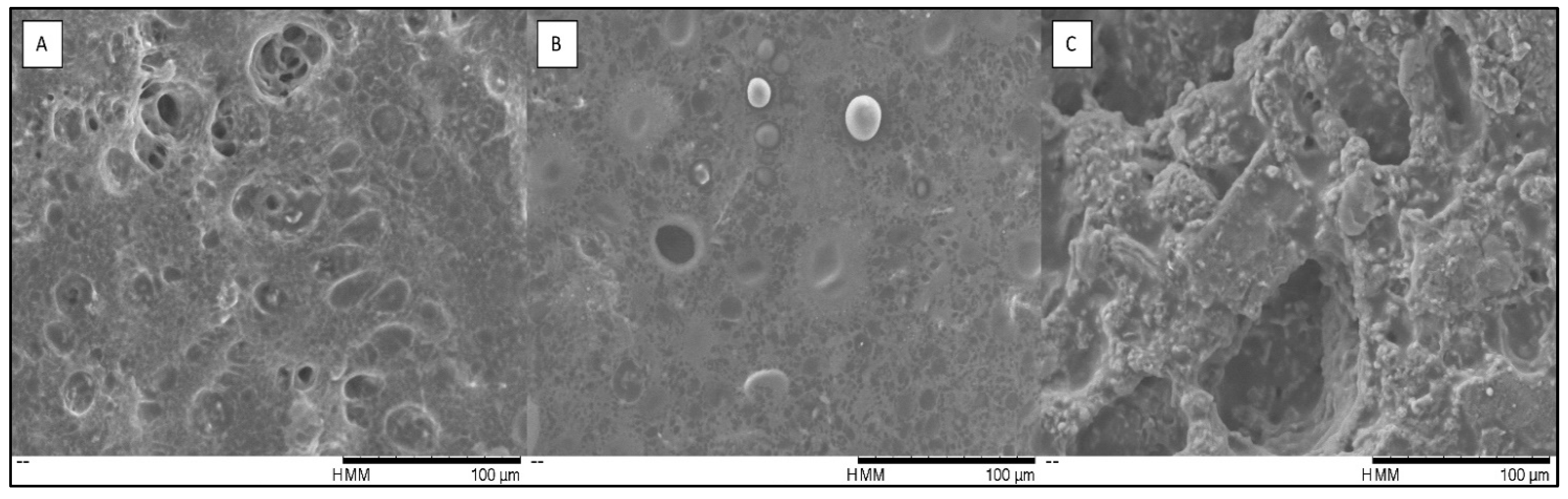 Insects 14 00147 g006