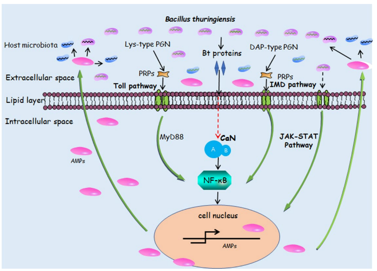 Insects 14 00151 g001 Insects 14 00151 g001