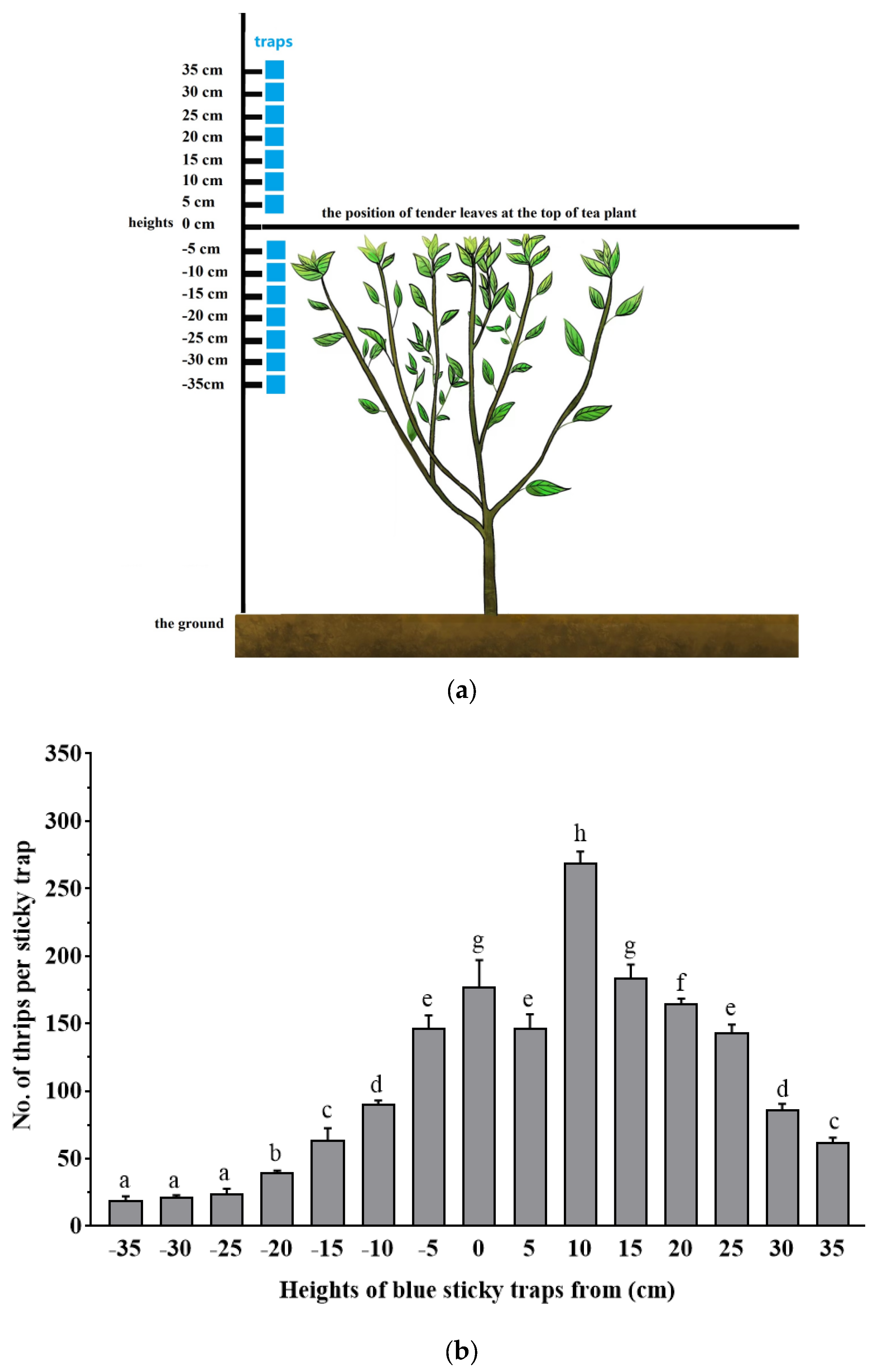 Insects 14 00152 g002