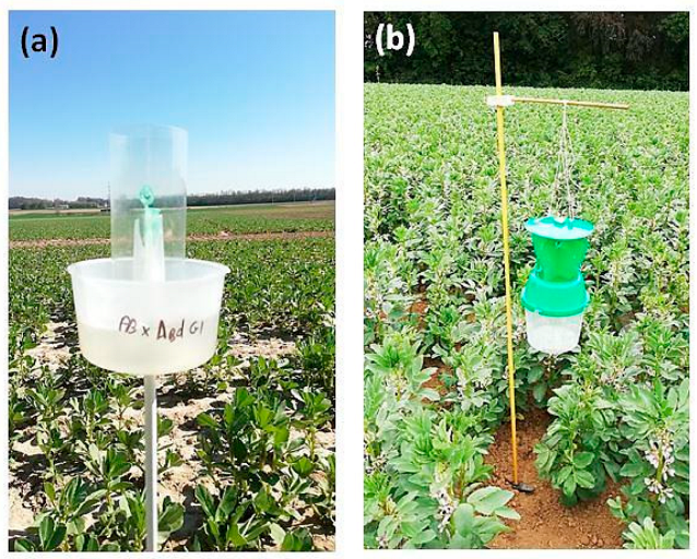 Insects 14 00153 i001 Insects 14 00153 i001