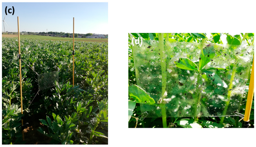 Insects 14 00153 i002 Insects 14 00153 i002