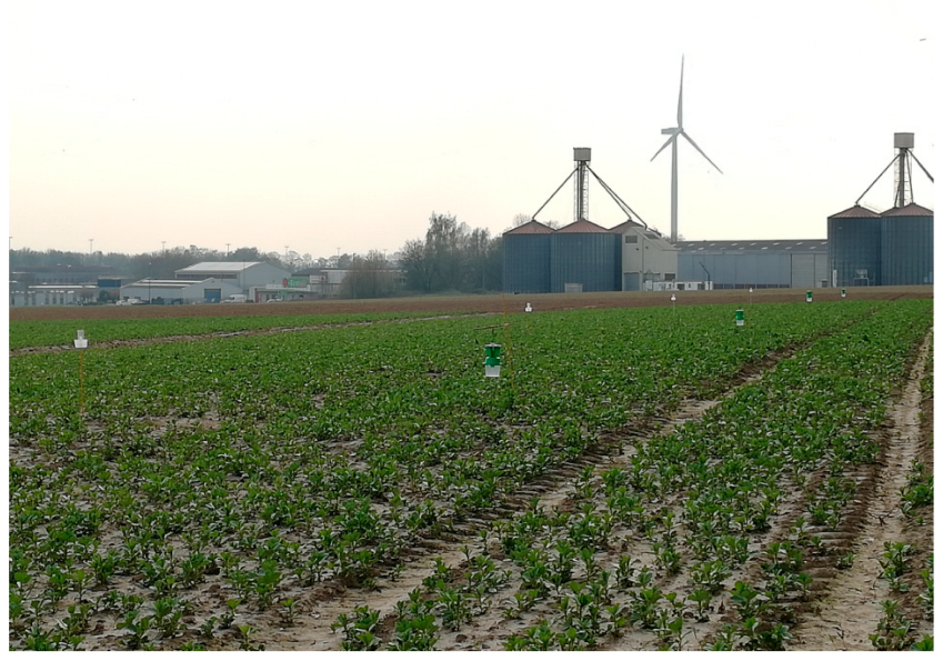 Insects 14 00153 i003 Insects 14 00153 i003