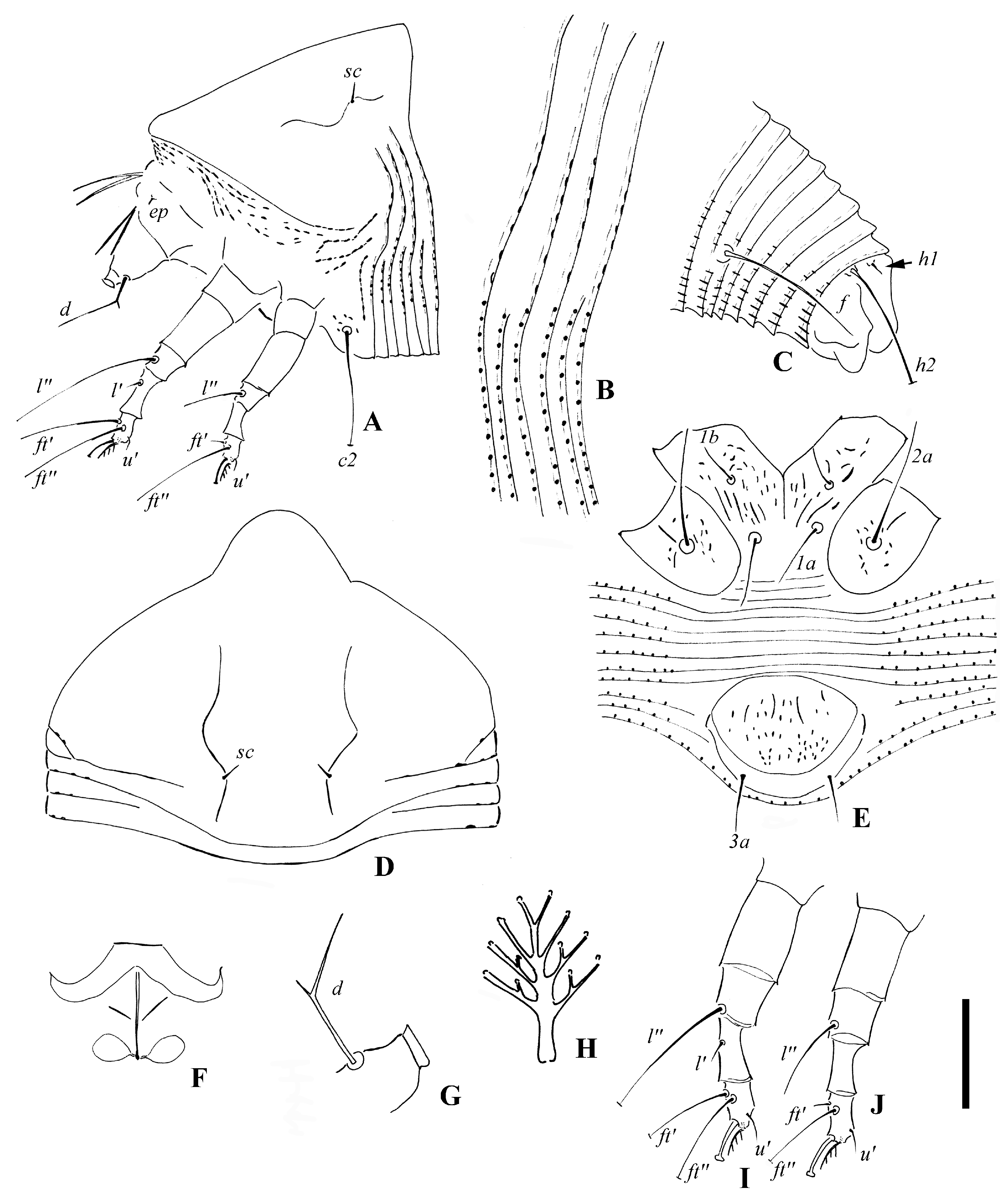 Insects 14 00159 g001 Insects 14 00159 g001