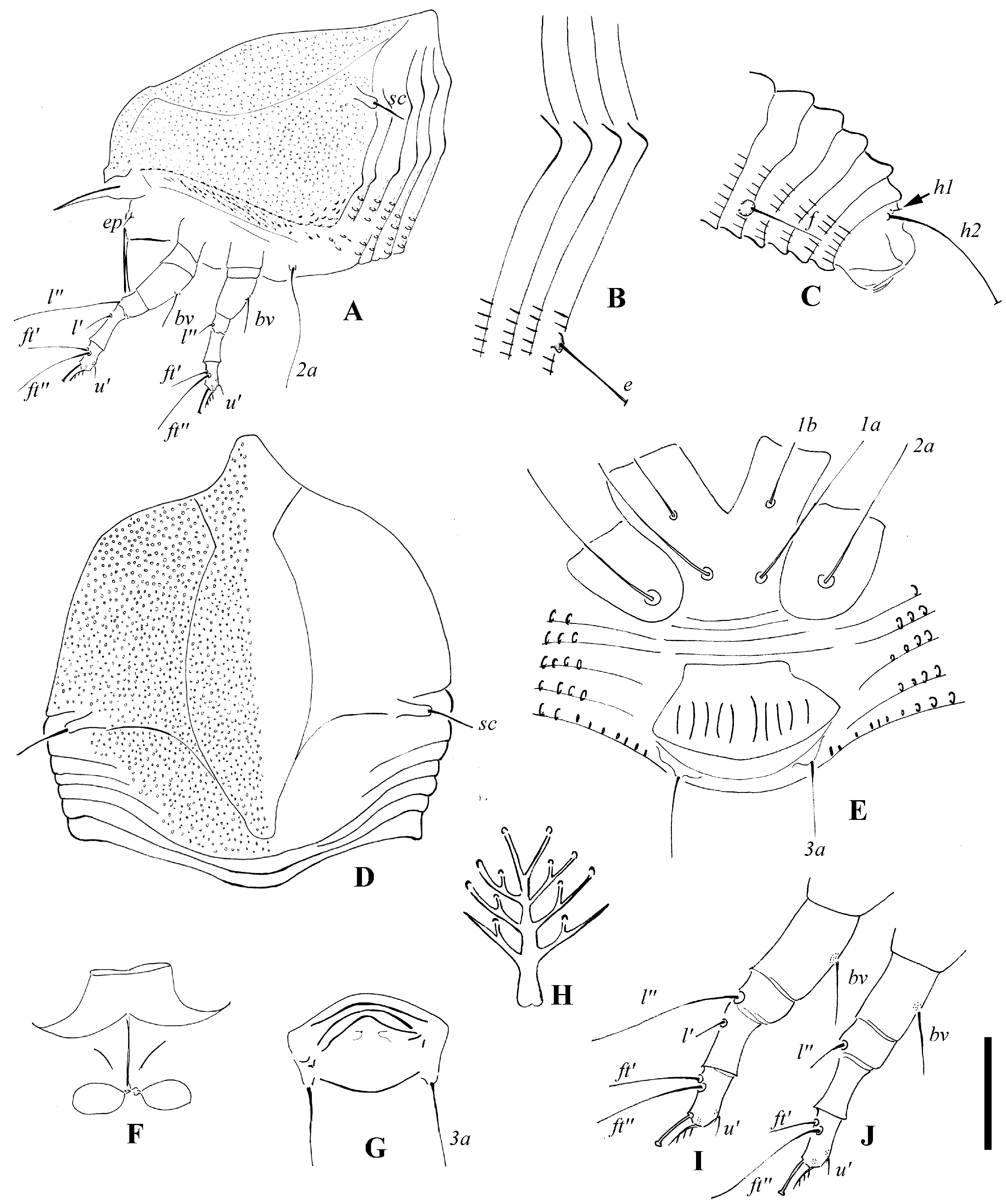 Insects 14 00159 g003 Insects 14 00159 g003