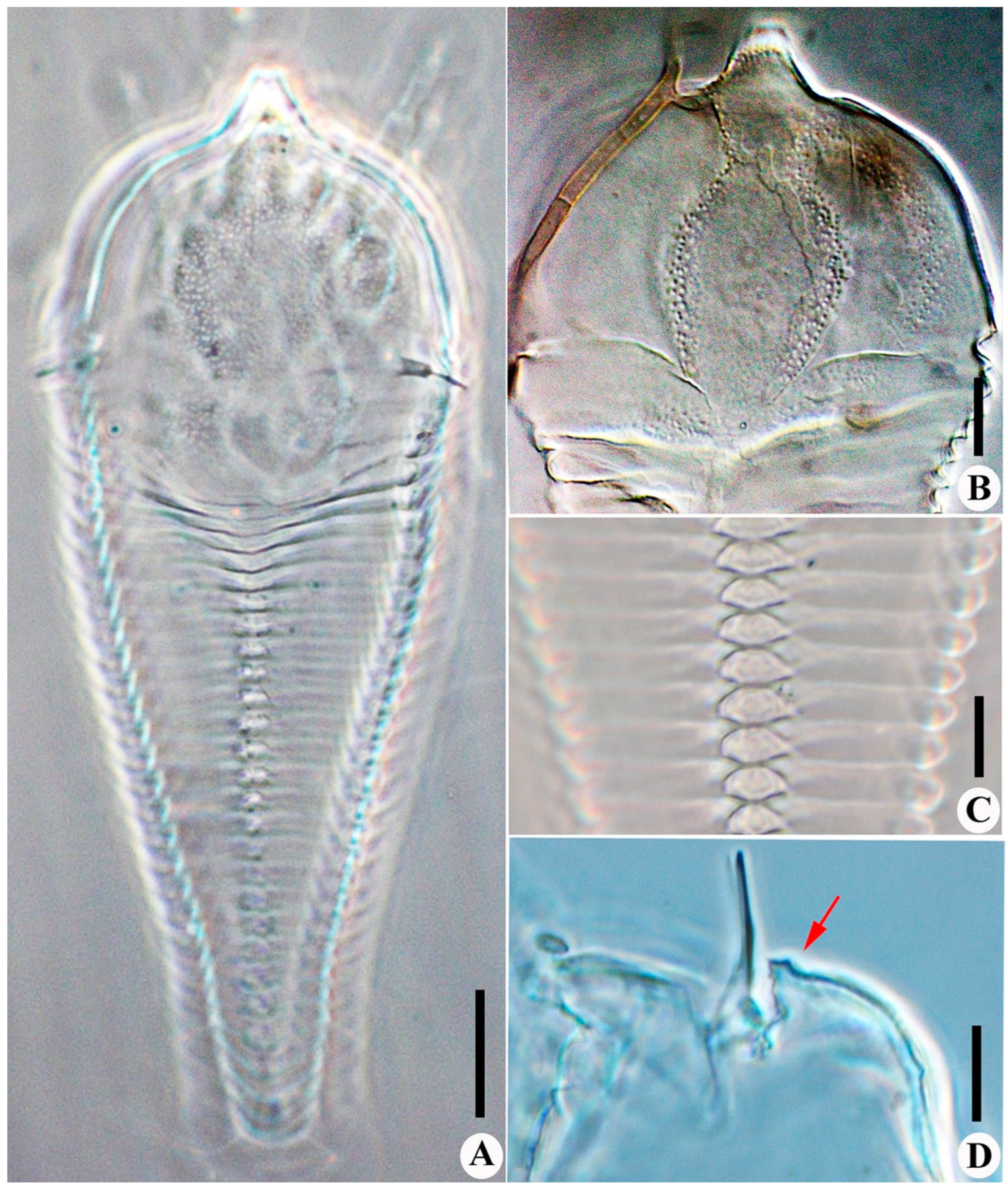 Insects 14 00159 g004 Insects 14 00159 g004