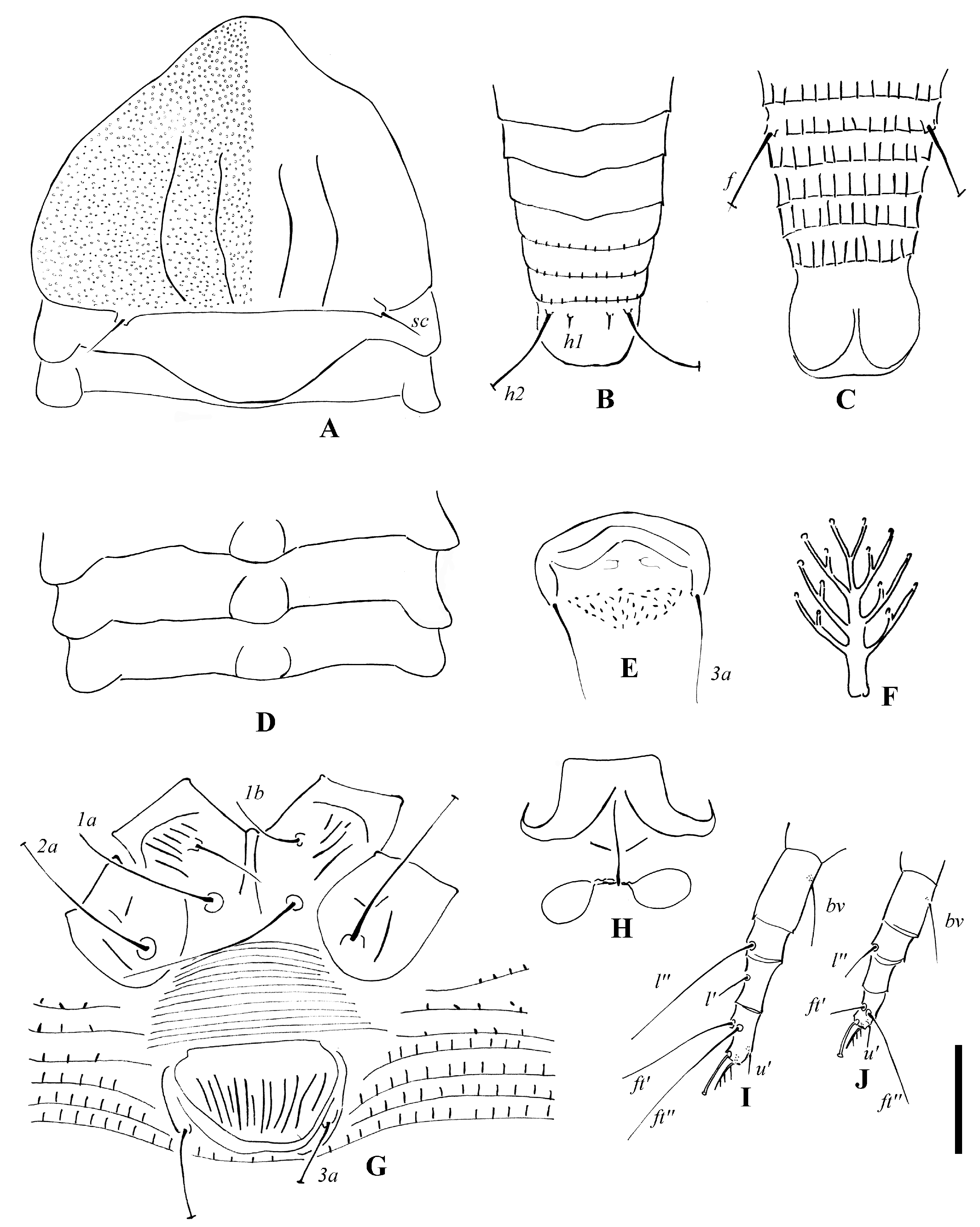 Insects 14 00159 g005 Insects 14 00159 g005