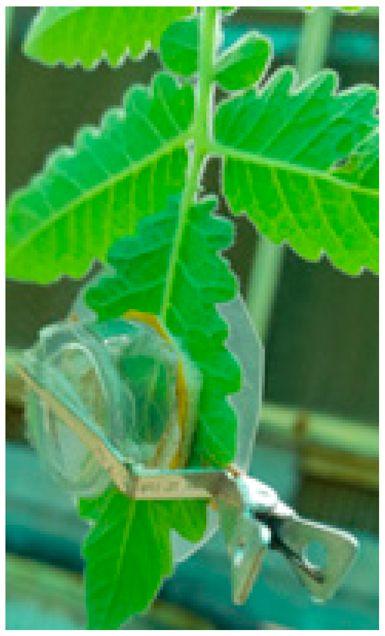 Insects 14 00160 g001