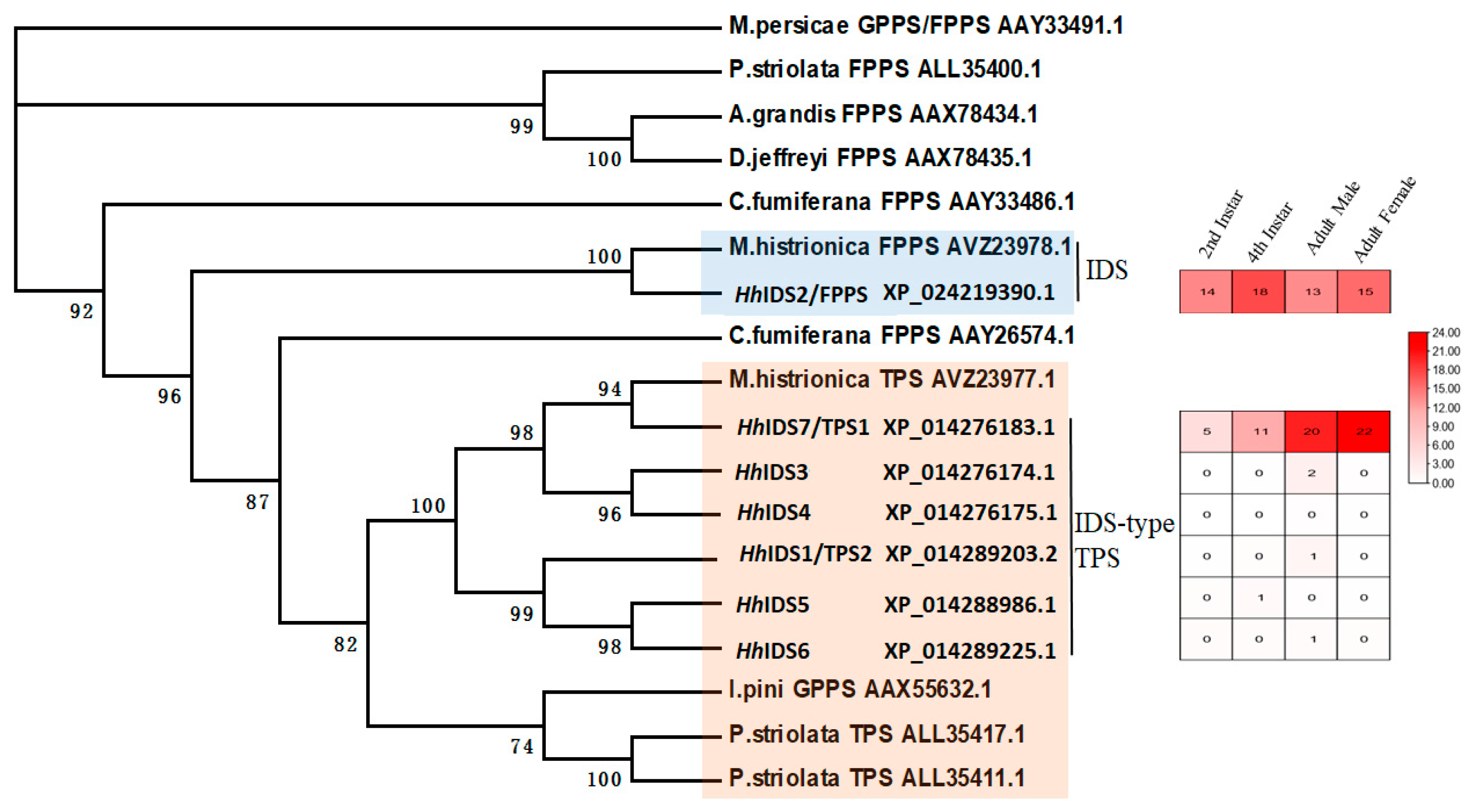 Insects 14 00163 g002