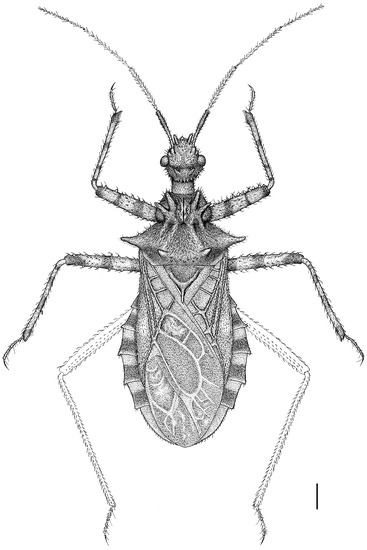 Insects 14 00165 g001