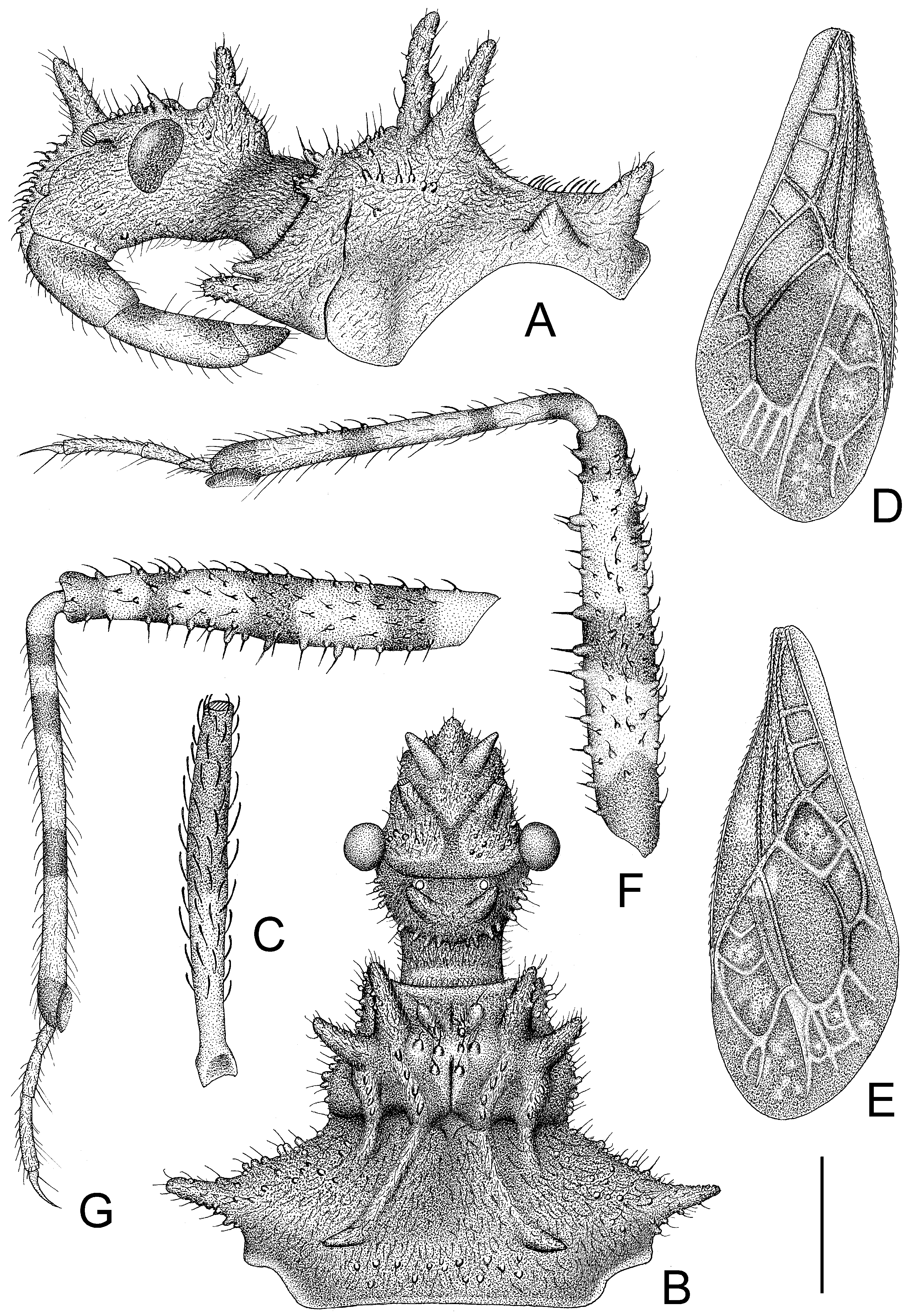 Insects 14 00165 g002