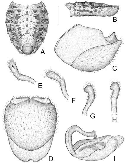 Insects 14 00165 g003