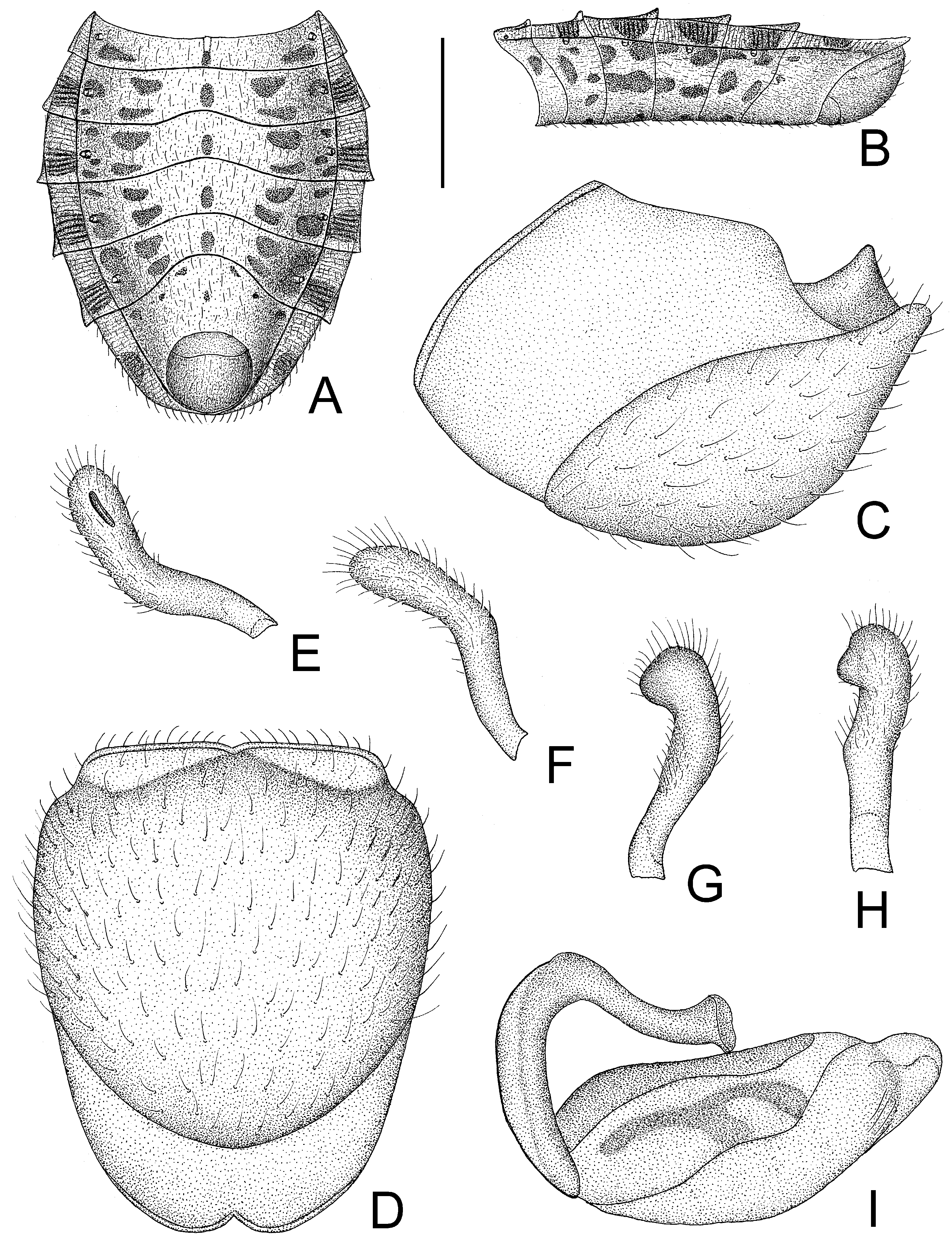 Insects 14 00165 g003