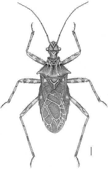Insects 14 00165 g005