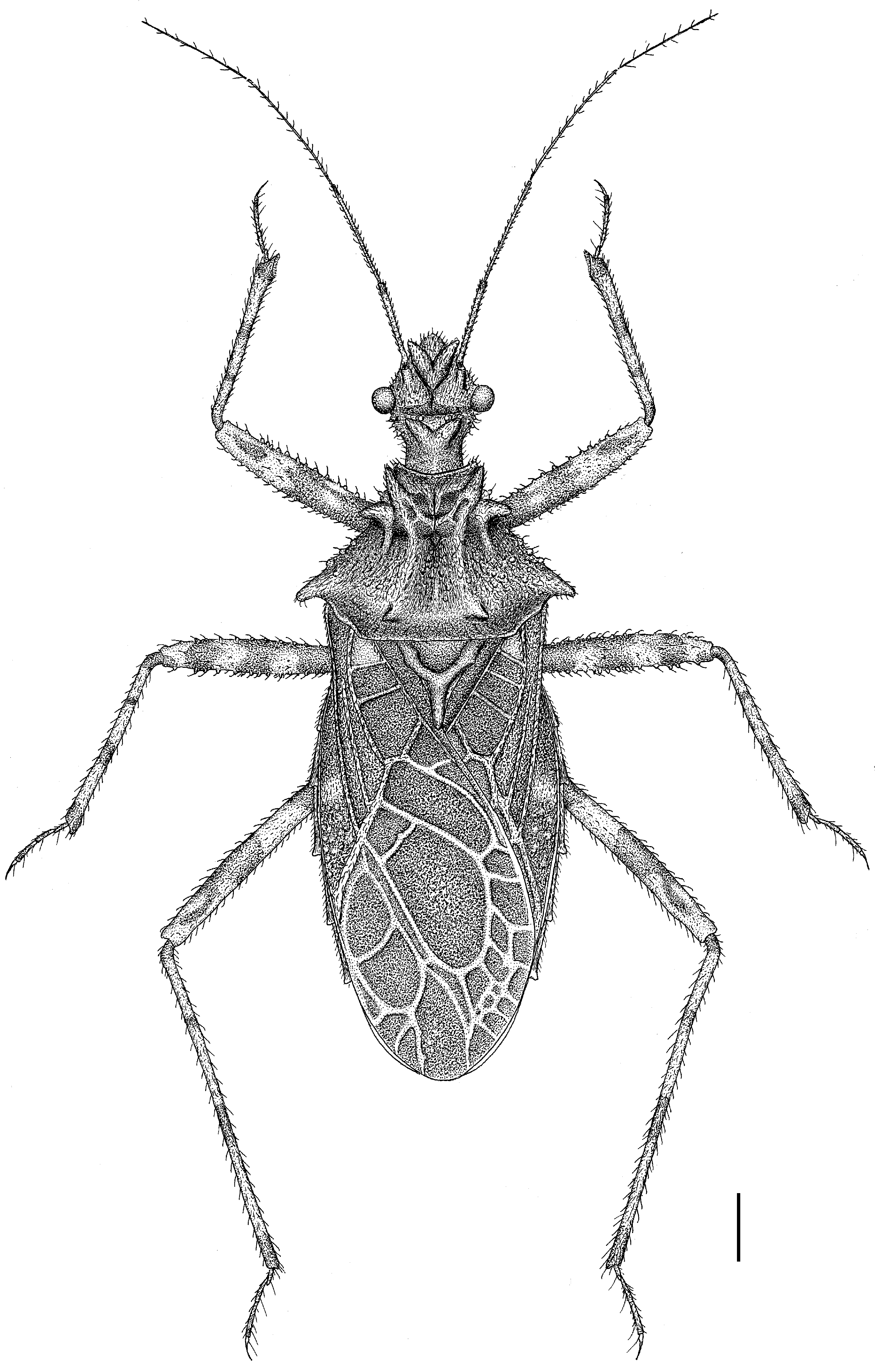 Insects 14 00165 g005
