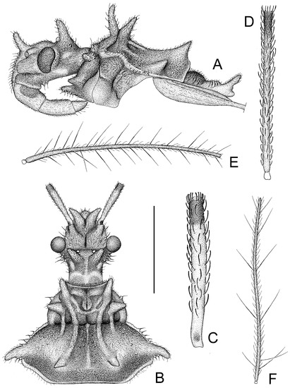 Insects 14 00165 g006