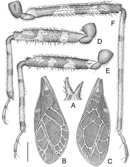 Insects 14 00165 g007