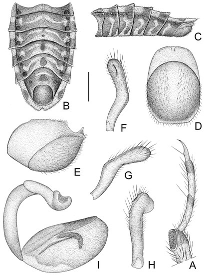 Insects 14 00165 g008
