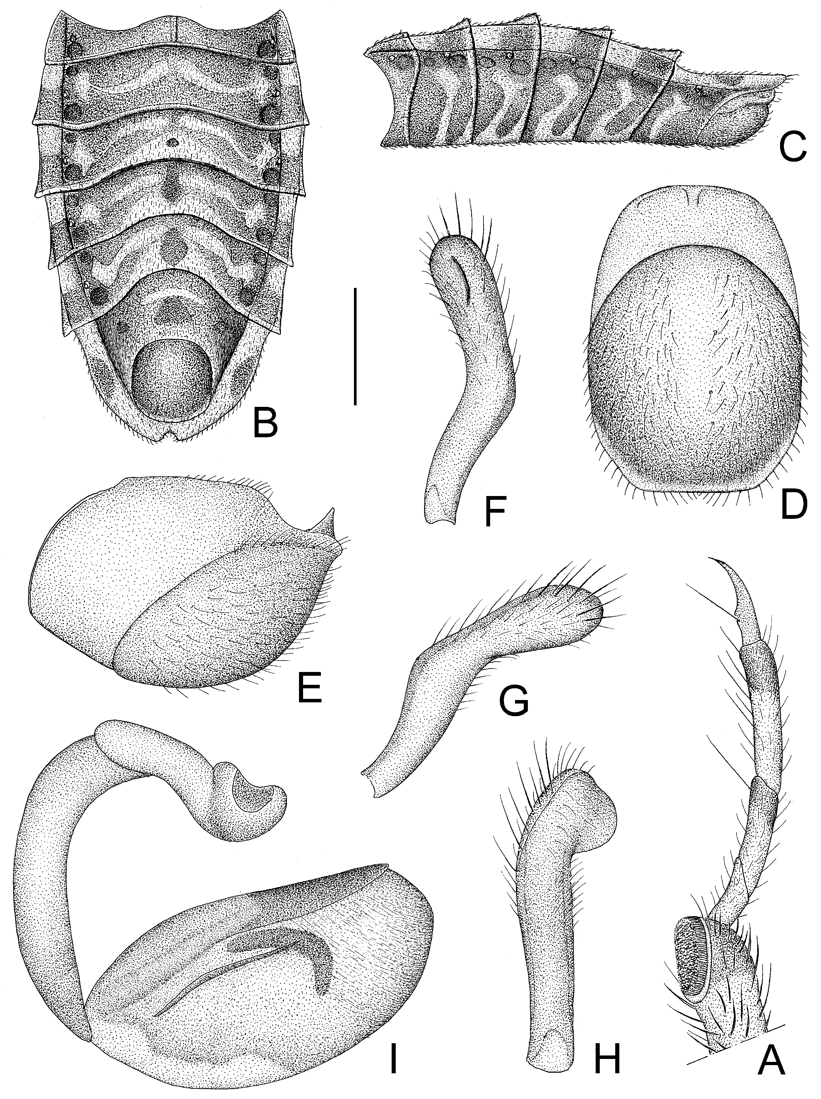 Insects 14 00165 g008