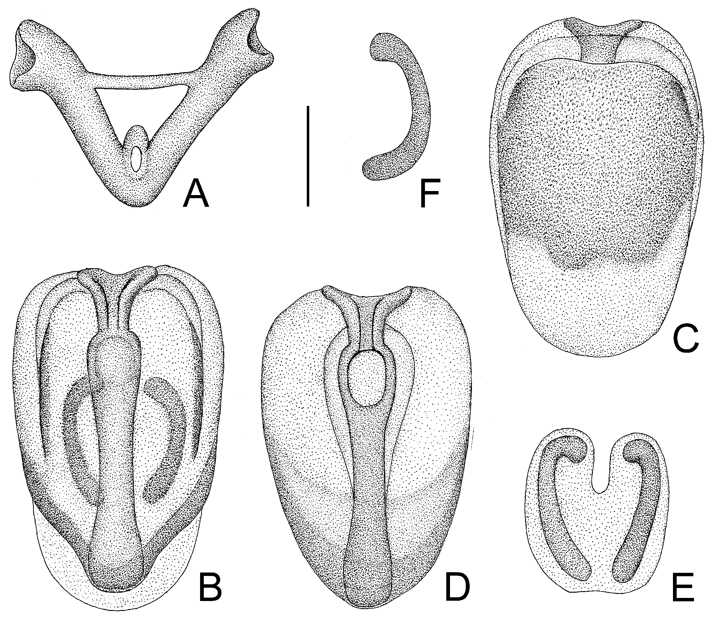 Insects 14 00165 g009