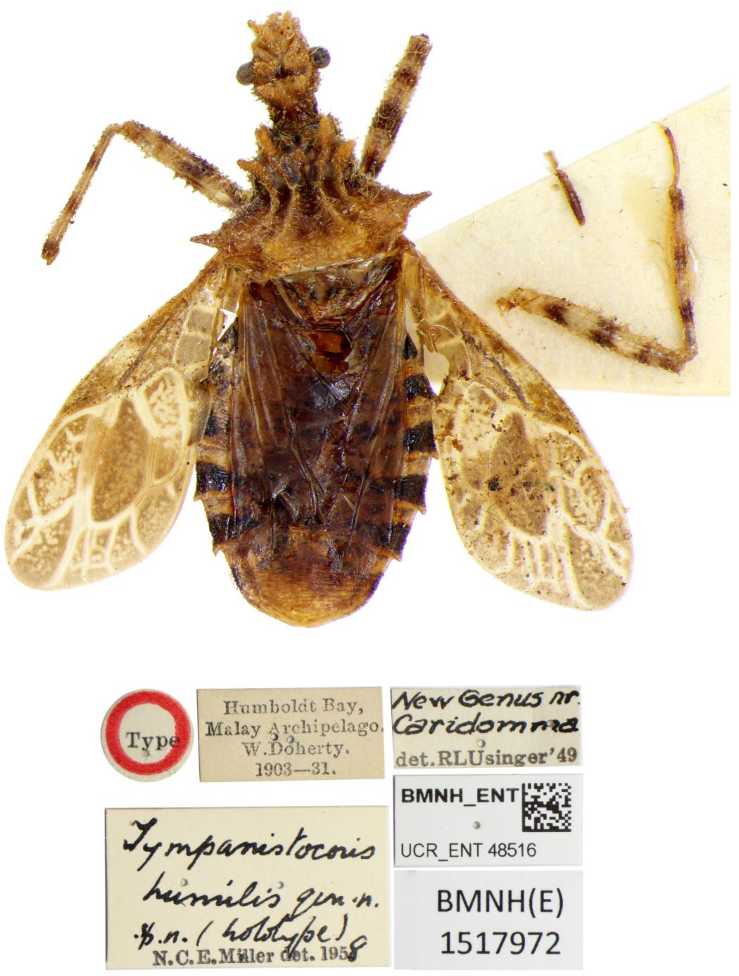 Insects 14 00165 g010