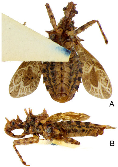 Insects 14 00165 g011