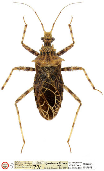 Insects 14 00165 g012