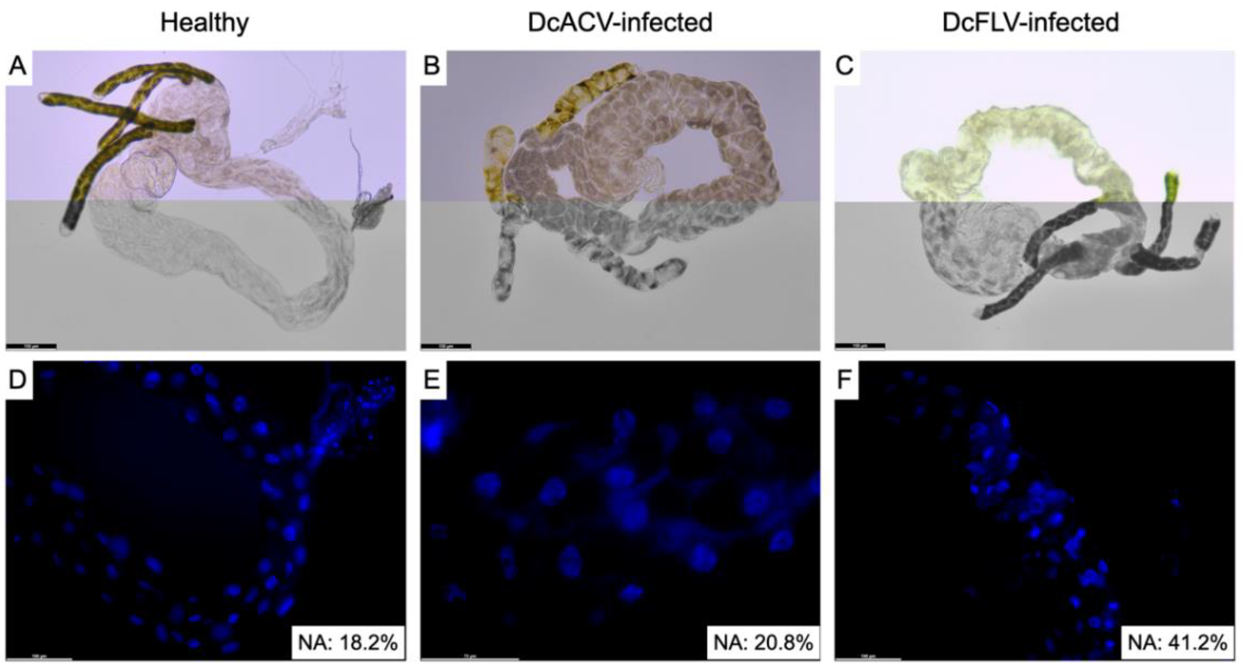 Insects 14 00166 g002