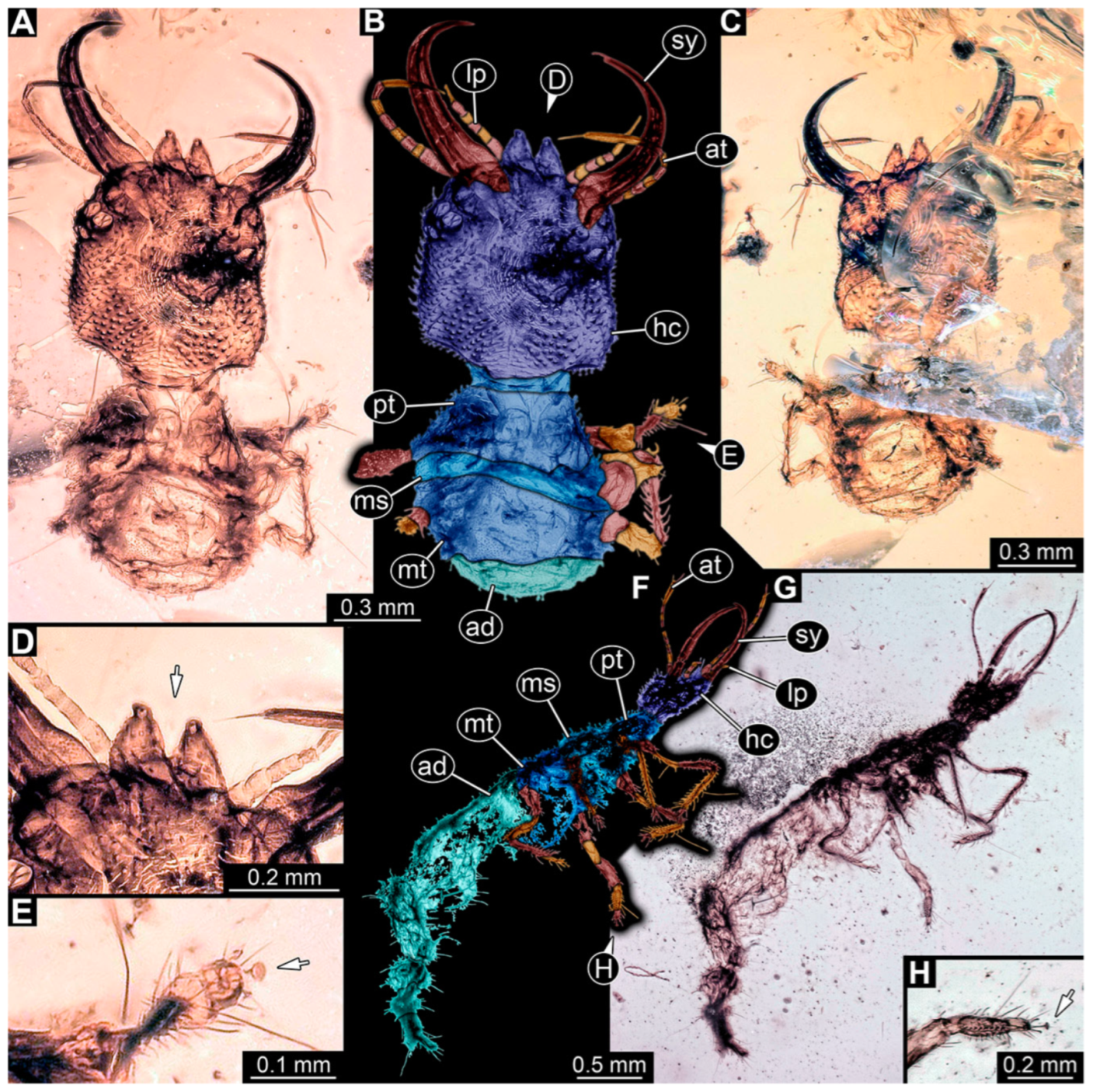 Insects 14 00170 g002 Insects 14 00170 g002