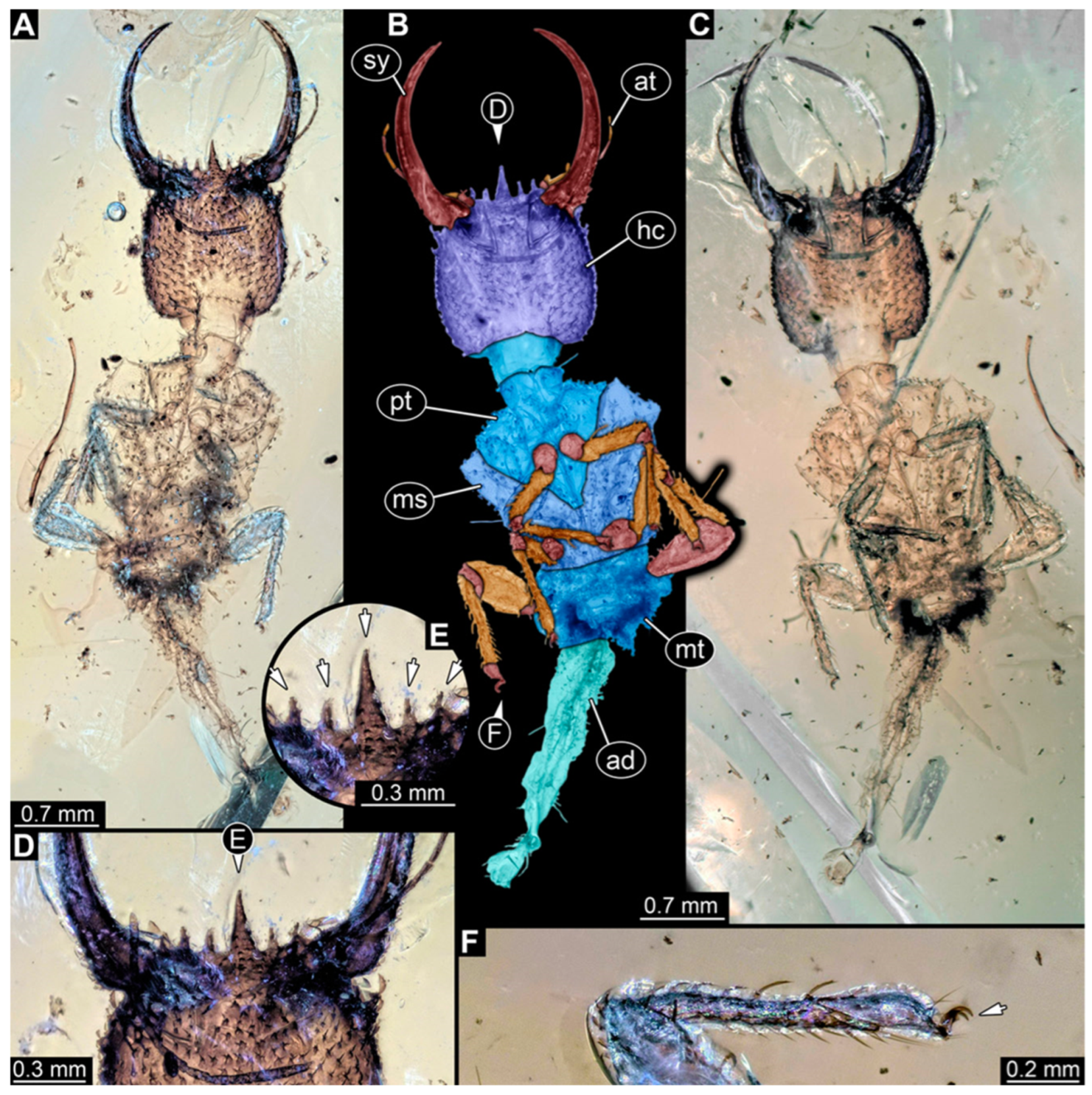 Insects 14 00170 g003 Insects 14 00170 g003