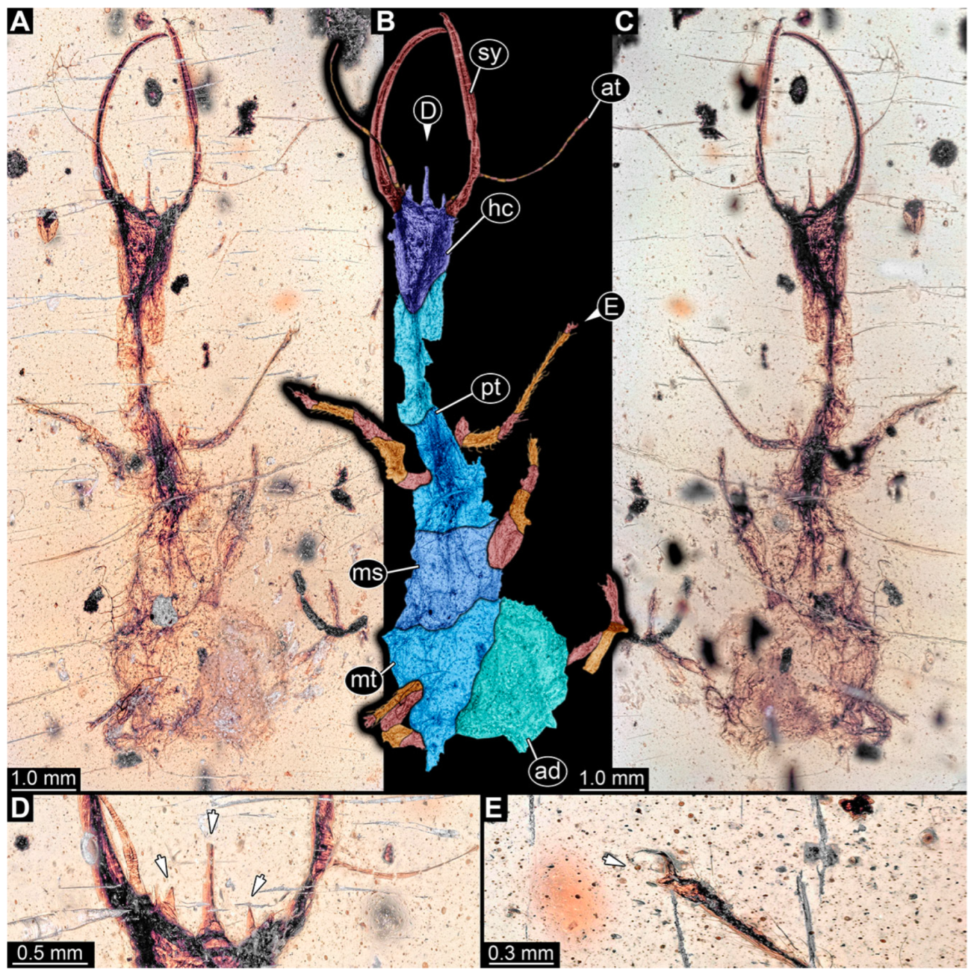 Insects 14 00170 g004 Insects 14 00170 g004